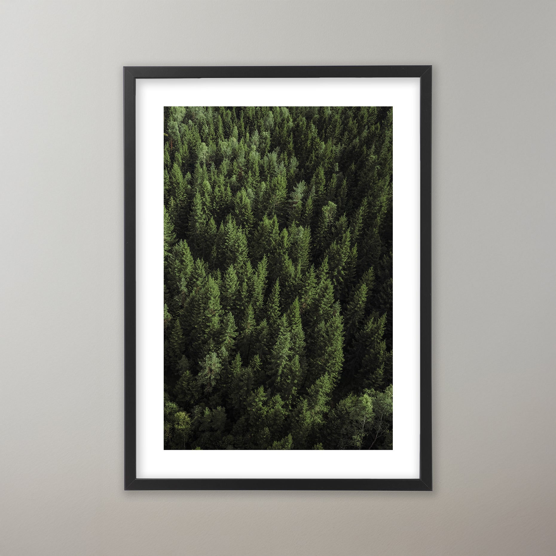 Gröna trädkronor i en tät skog. Poster i olika storlekar: 30x40 cm, 40x50 cm, 50x70-cm, 70x100 cm.