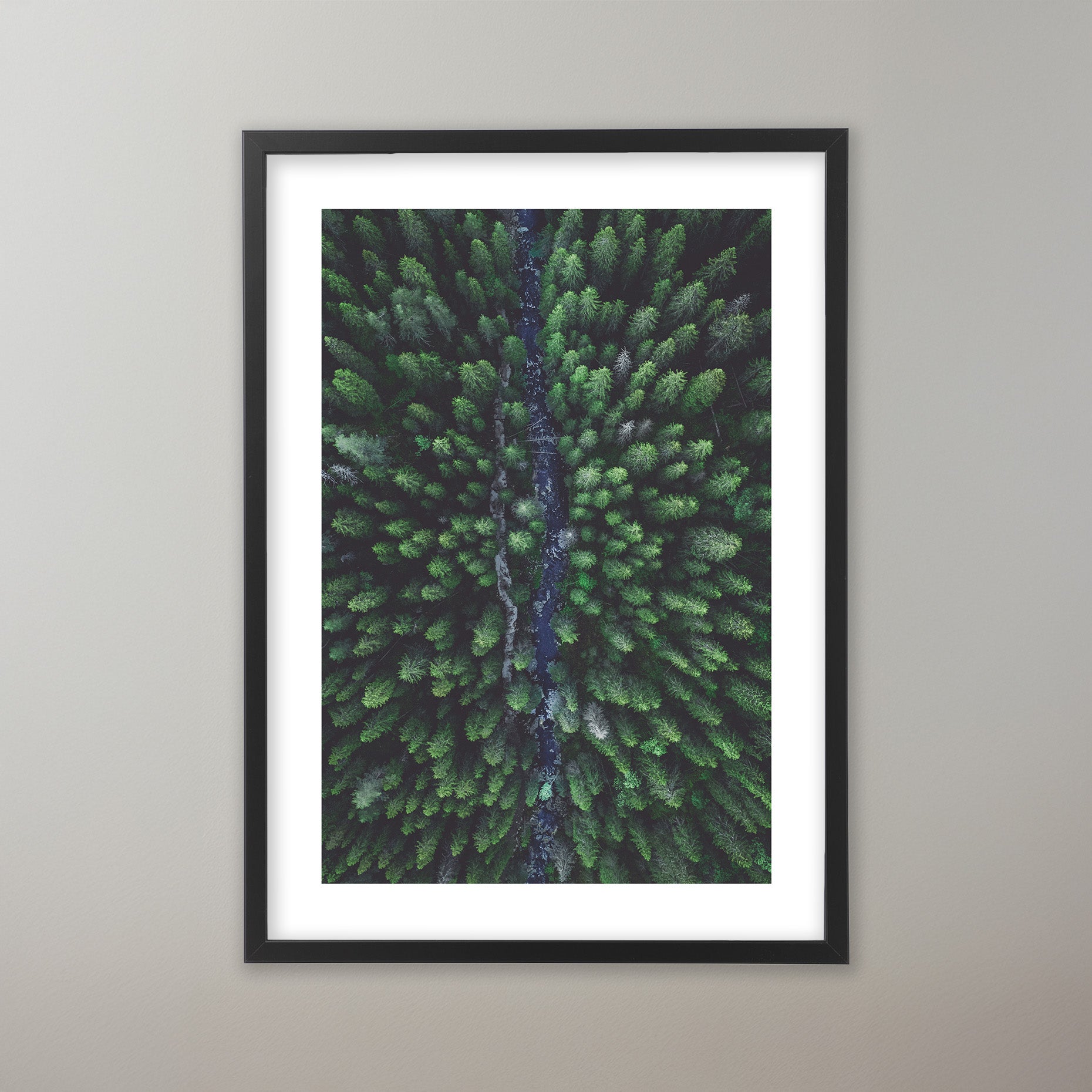 Drönarfoto över tät svensk granskog med höga träd i naturligt ljus. Poster i olika storlekar: 30x40 cm, 40x50 cm, 50x70-cm, 70x100 cm.