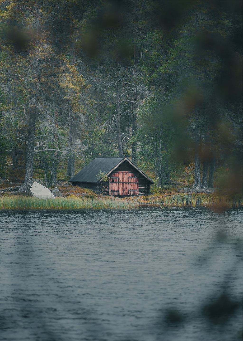 Ett rött trähus med mörkt tak vid en sjökant, omgivet av höstskog med gula och gröna träd. Poster i olika storlekar: 30x40 cm, 40x50 cm, 50x70-cm, 70x100 cm.