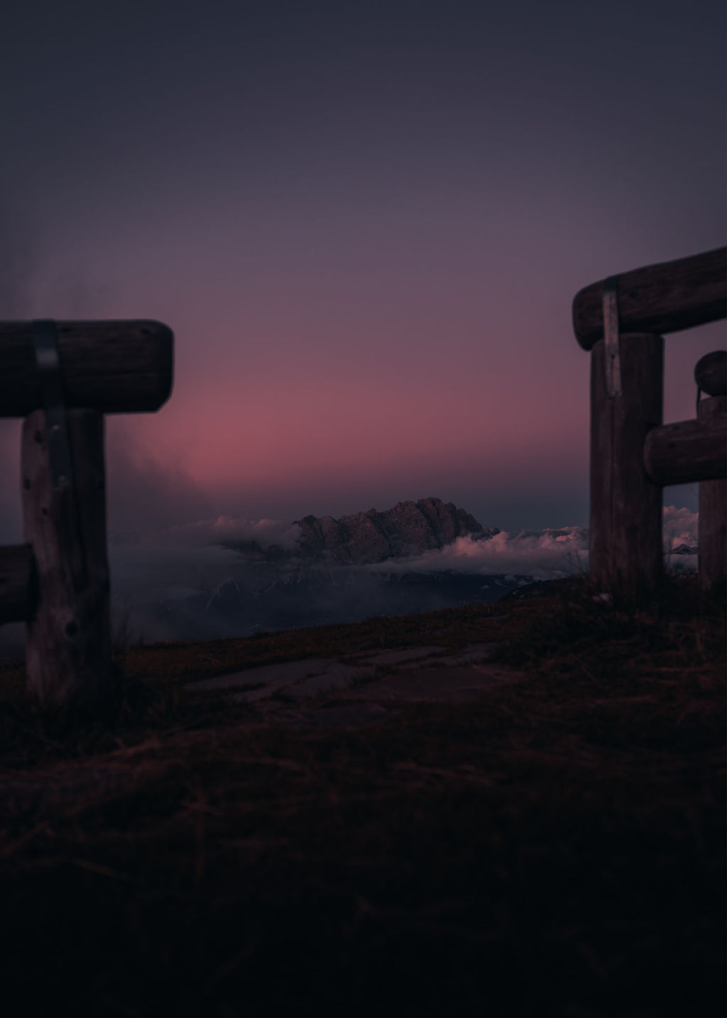 Purple Heaven - Dolomites