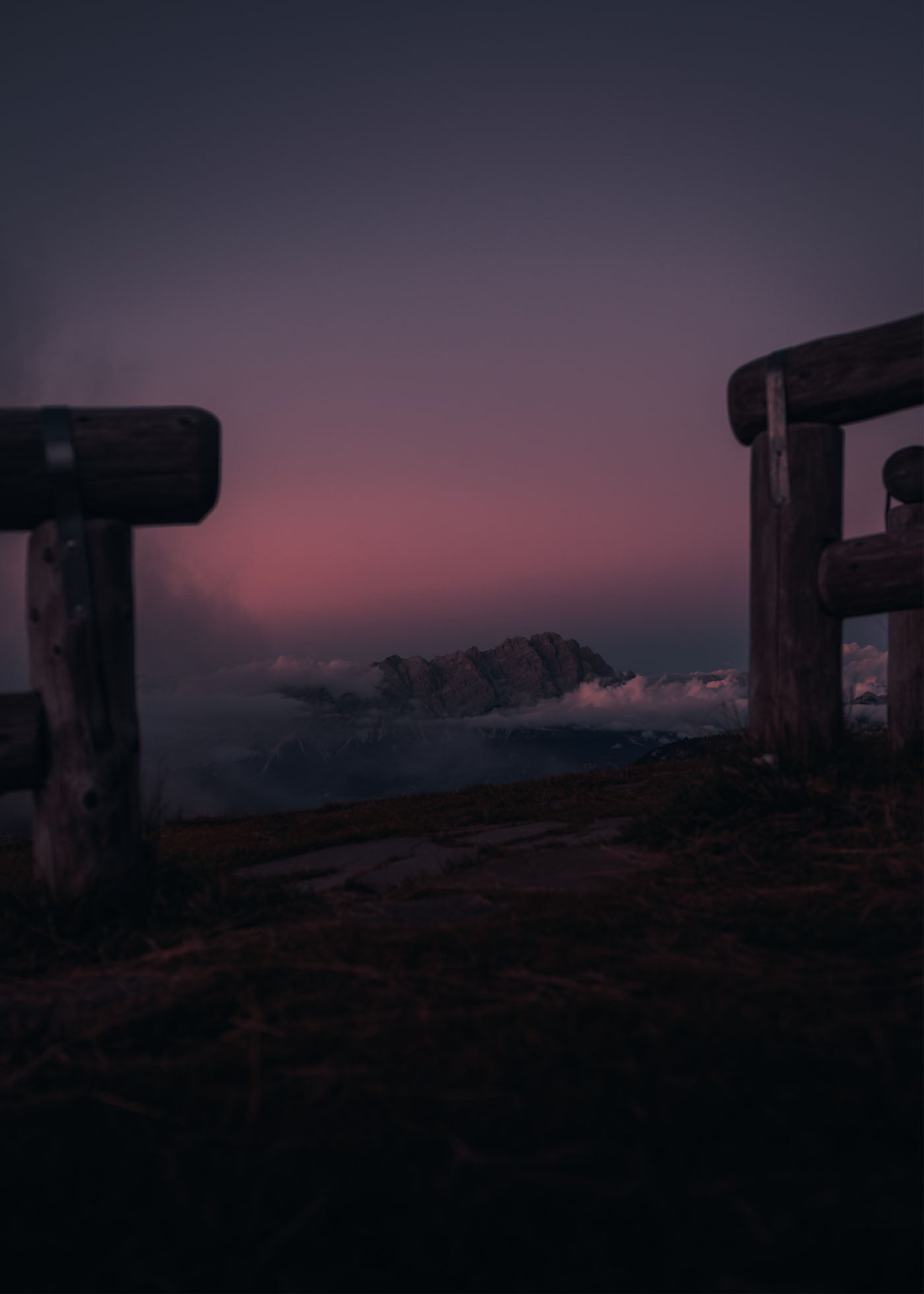 Purple Heaven - Dolomites