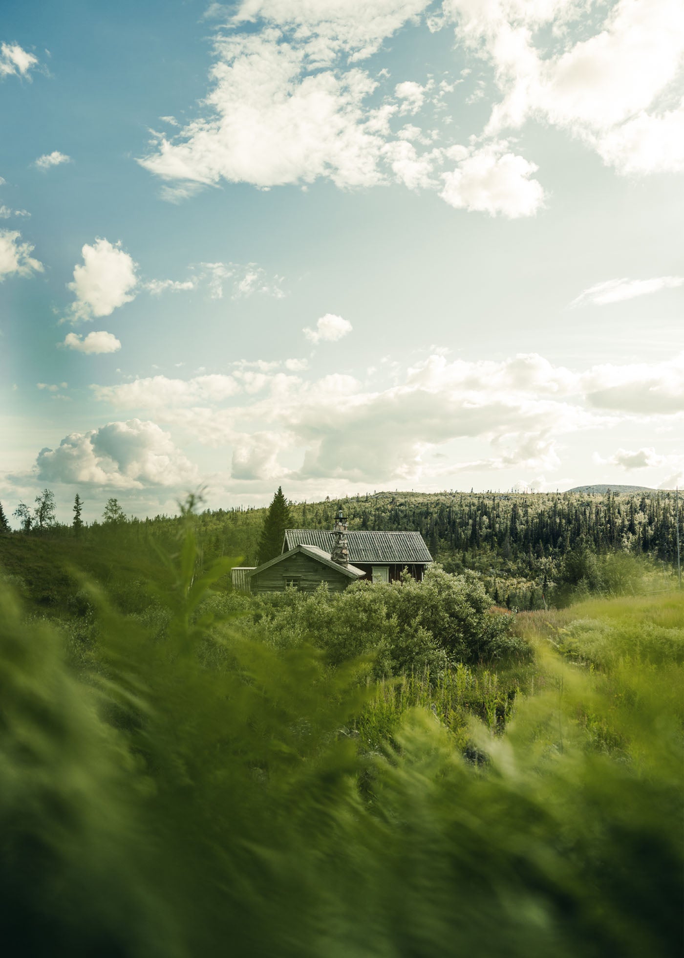 Wilderness Retreat - Vemdalen