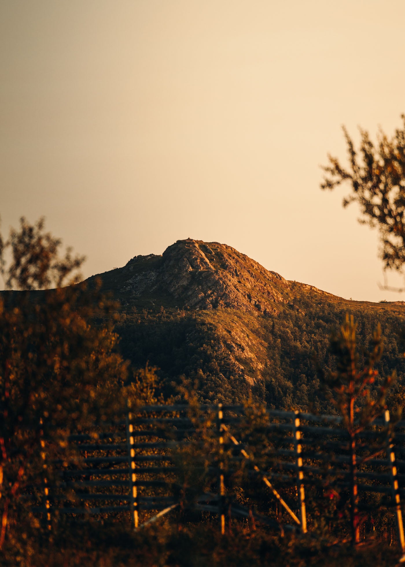Golden hour - Flatruet