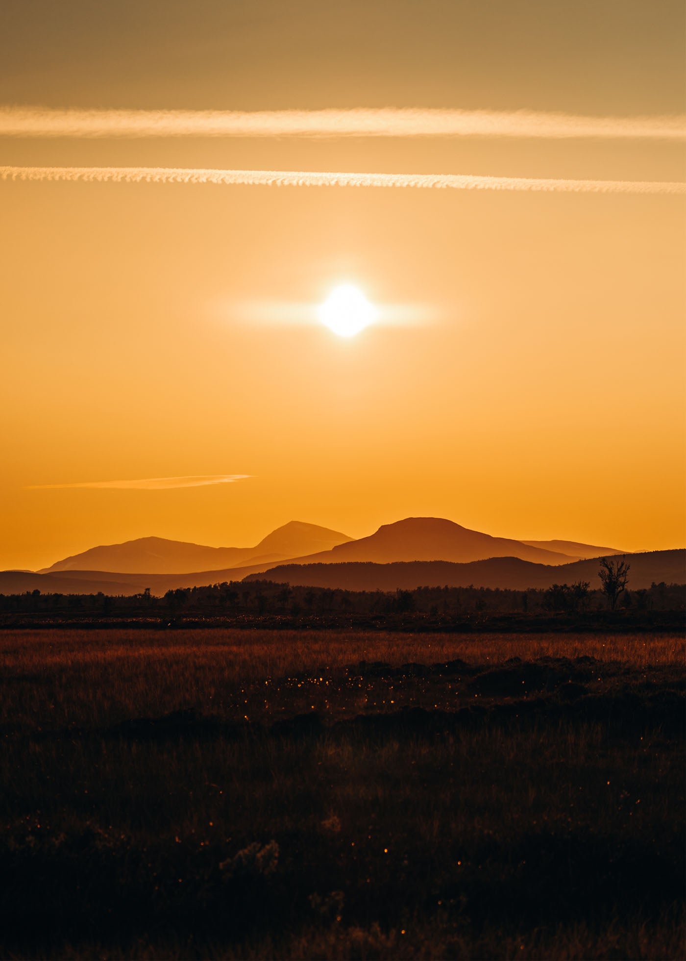 Golden Highland - Flatruet