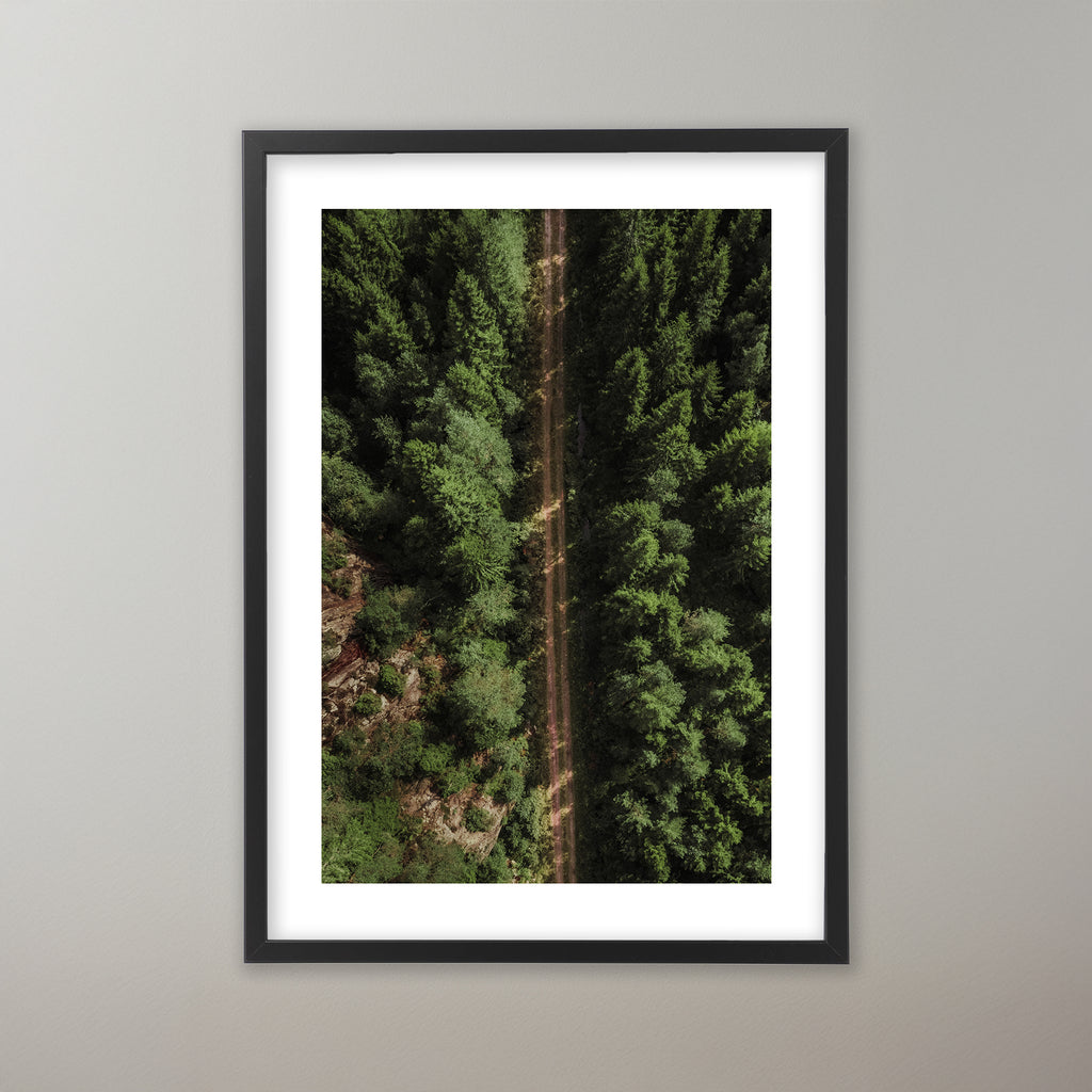 Grusväg genom en grönskade skog i Bohuslän. Poster i olika storlekar: 30x40 cm, 40x50 cm, 50x70-cm, 70x100 cm.
