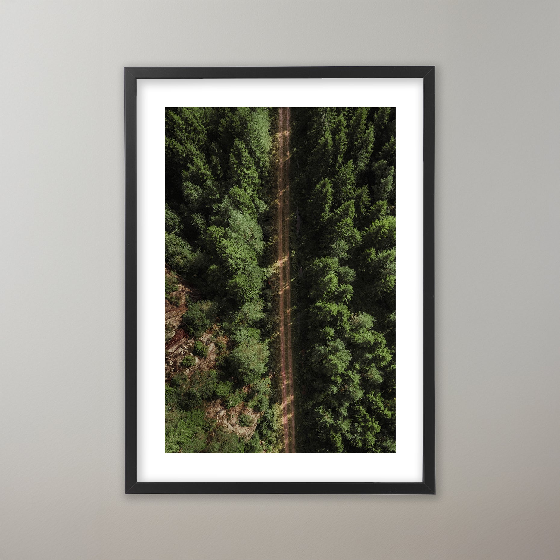 Grusväg genom en grönskade skog i Bohuslän. Poster i olika storlekar: 30x40 cm, 40x50 cm, 50x70-cm, 70x100 cm.