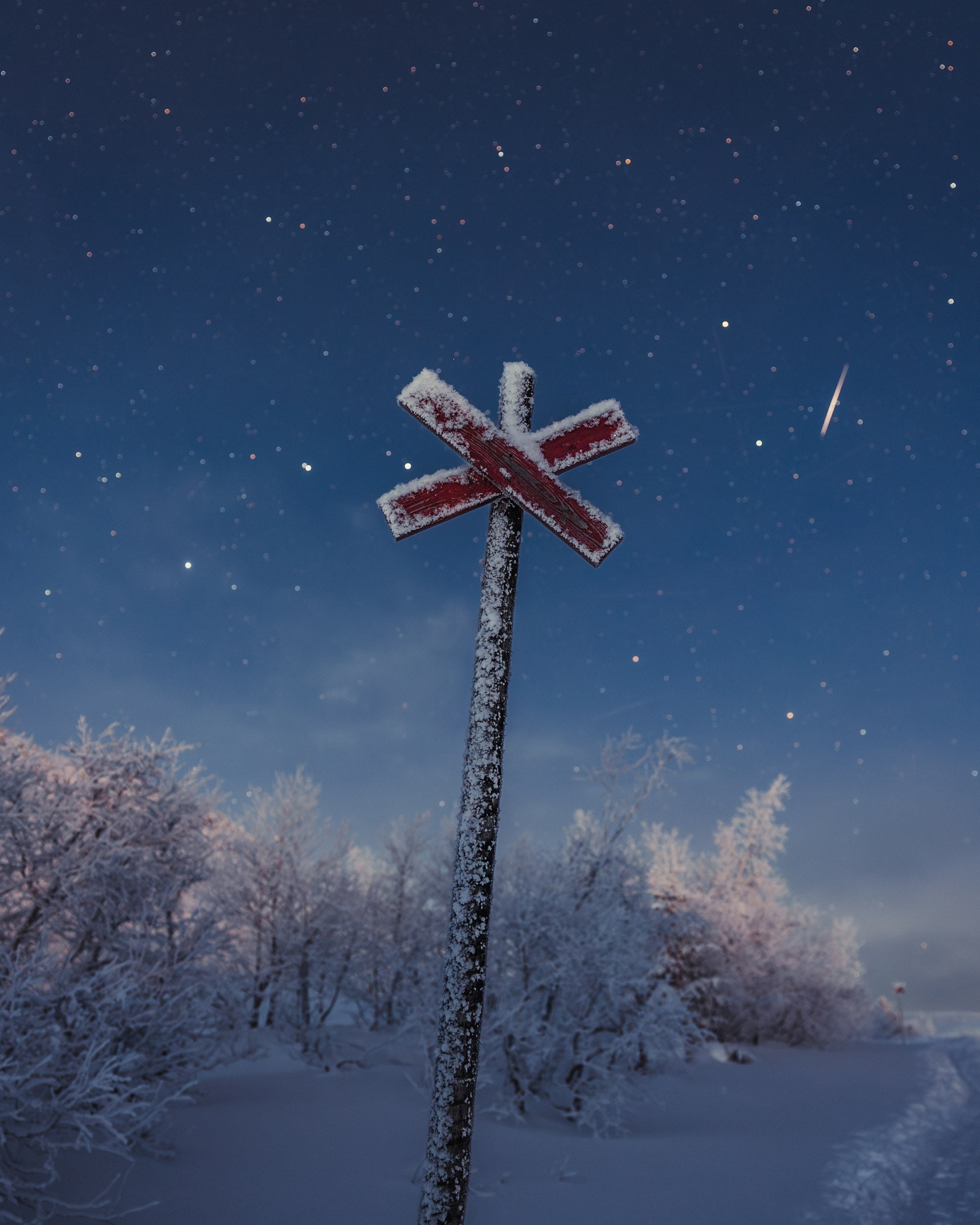 Into The Night - Nipfjället