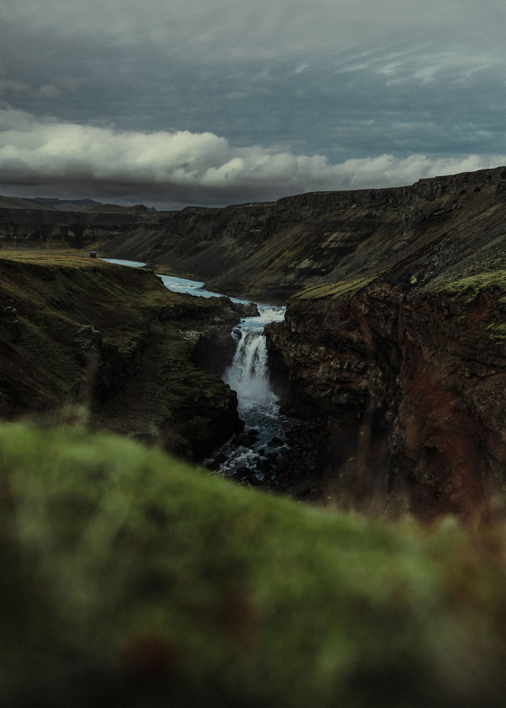 Into the Wild - Iceland