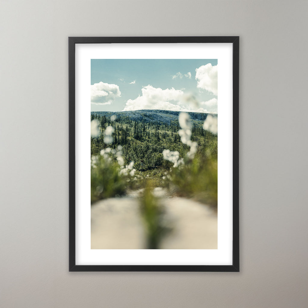 Botanical Journey - Vemdalen