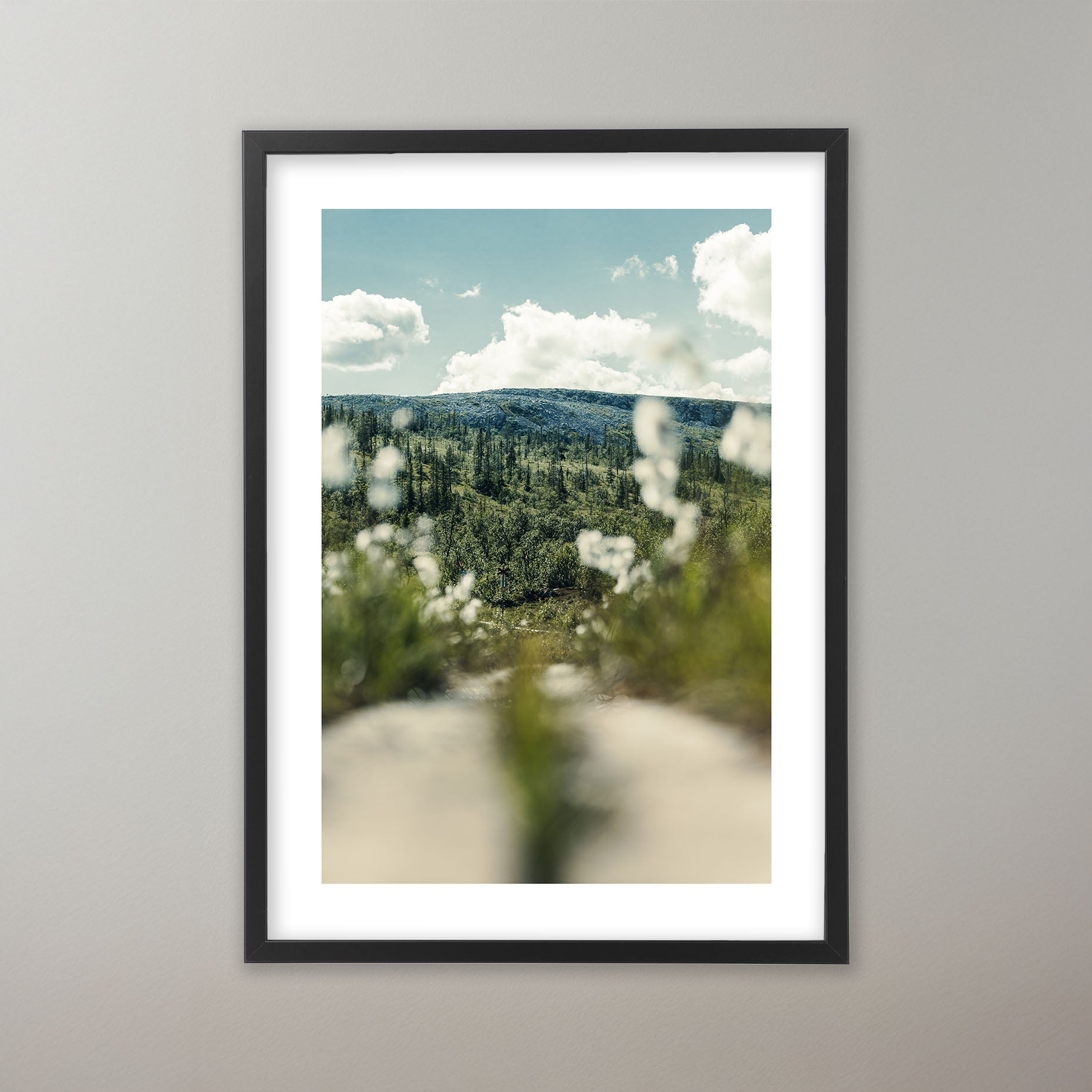 Botanical Journey - Vemdalen