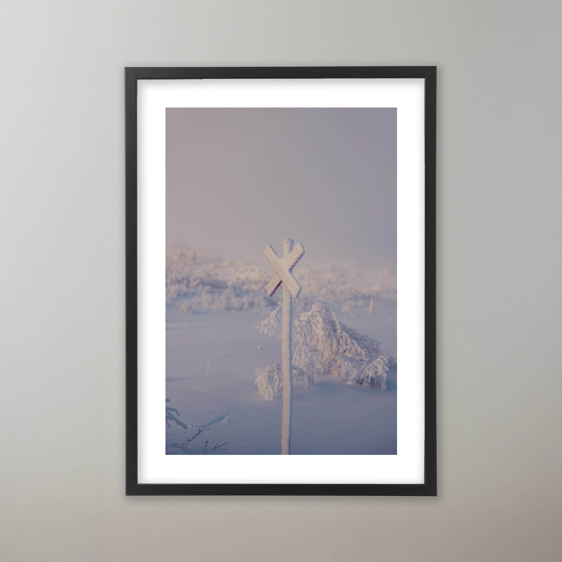 Snöigt ledkryss i lilaskimrande ljus. Poster i olika storlekar: 30x40 cm, 40x50 cm, 50x70-cm, 70x100 cm.