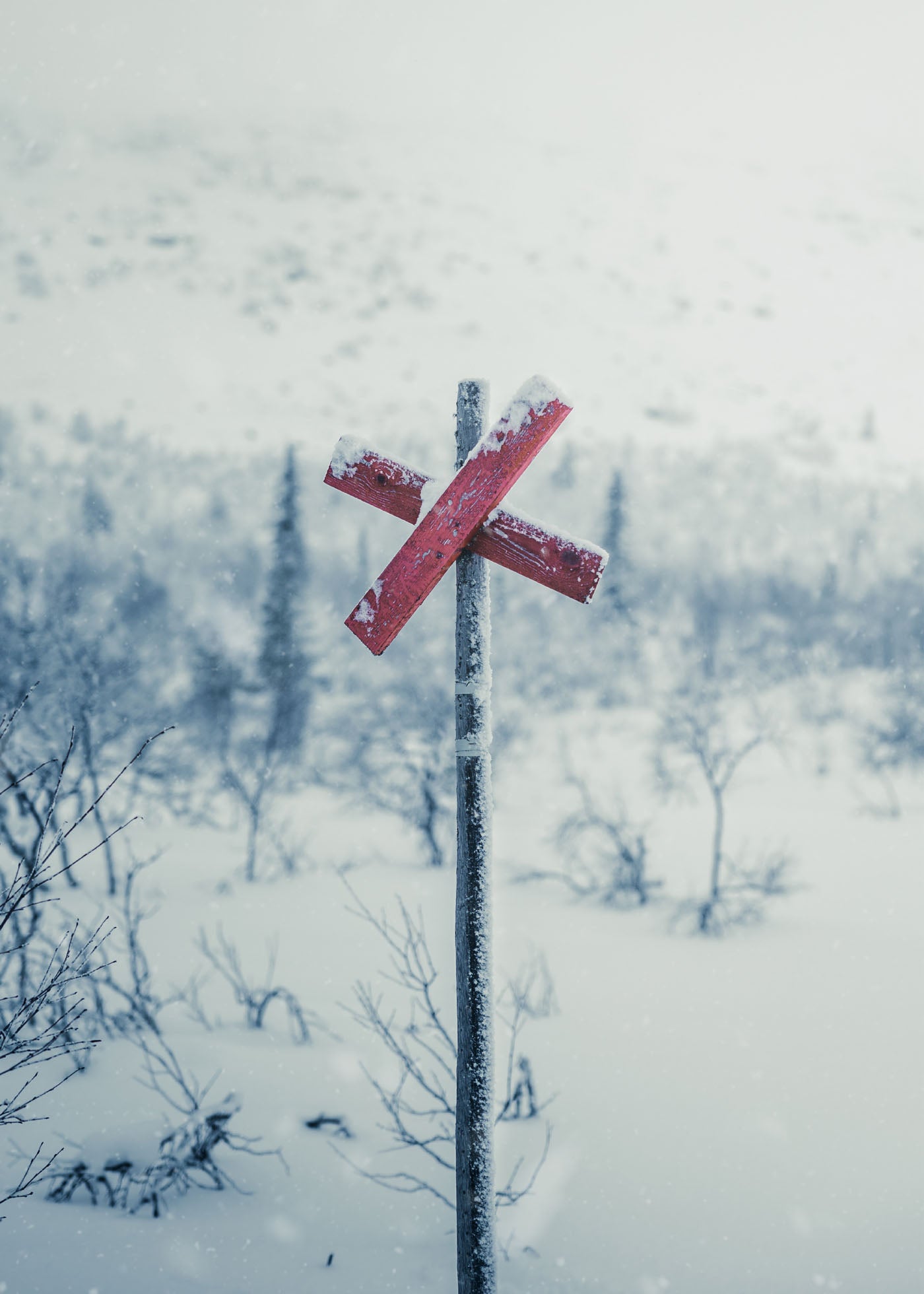 Frozen Trail - Nipfjället