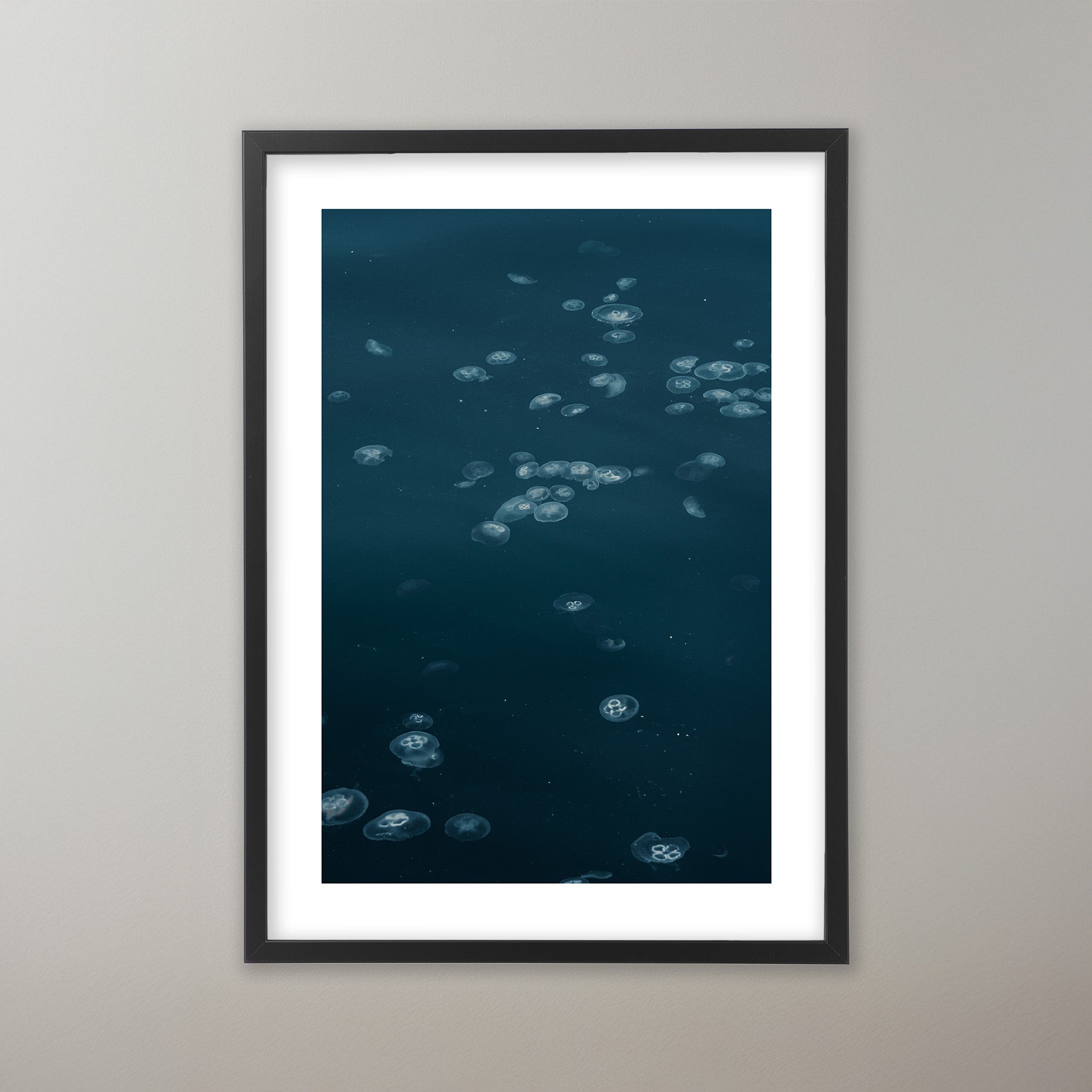 Marine Life - Tjörn