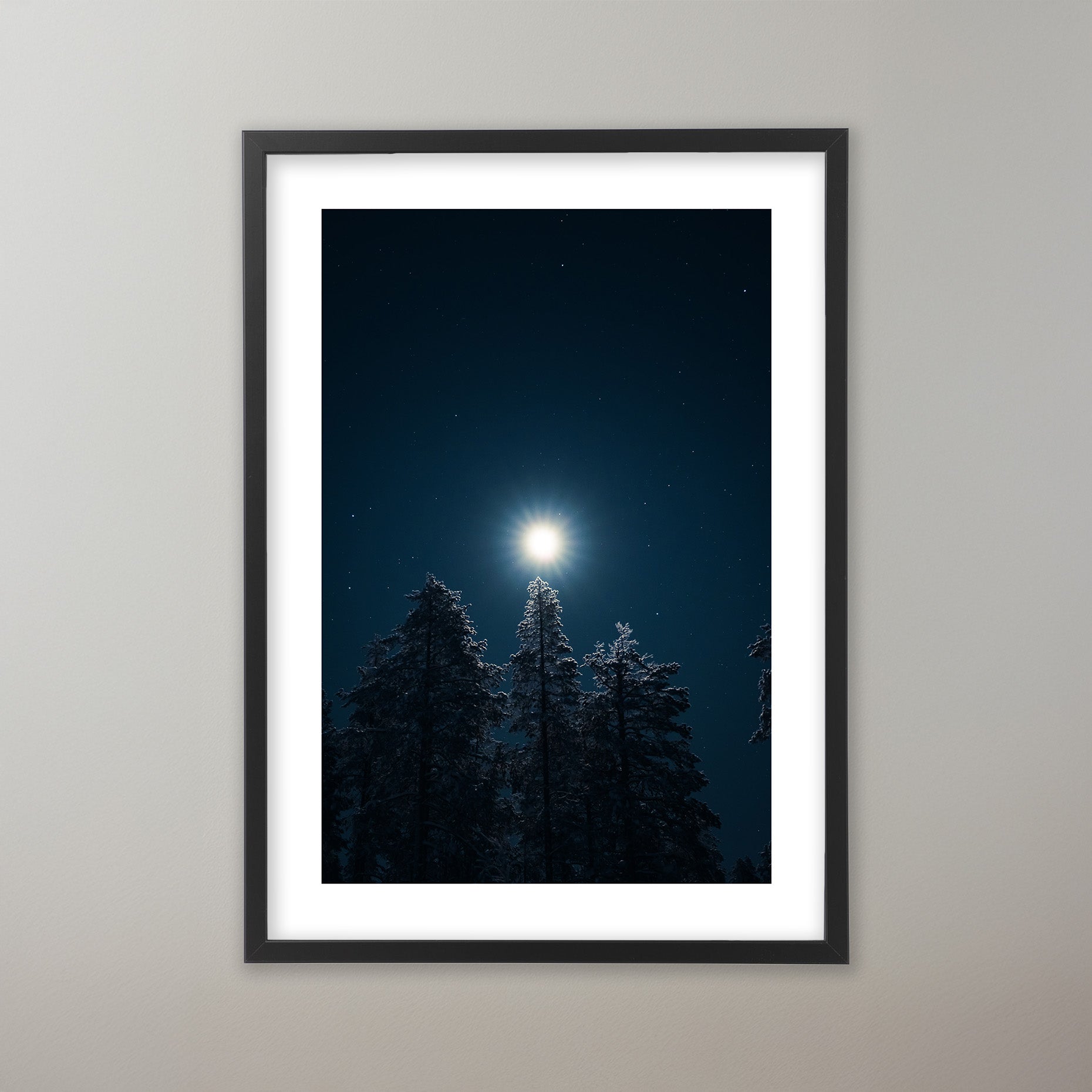 Moonbeam