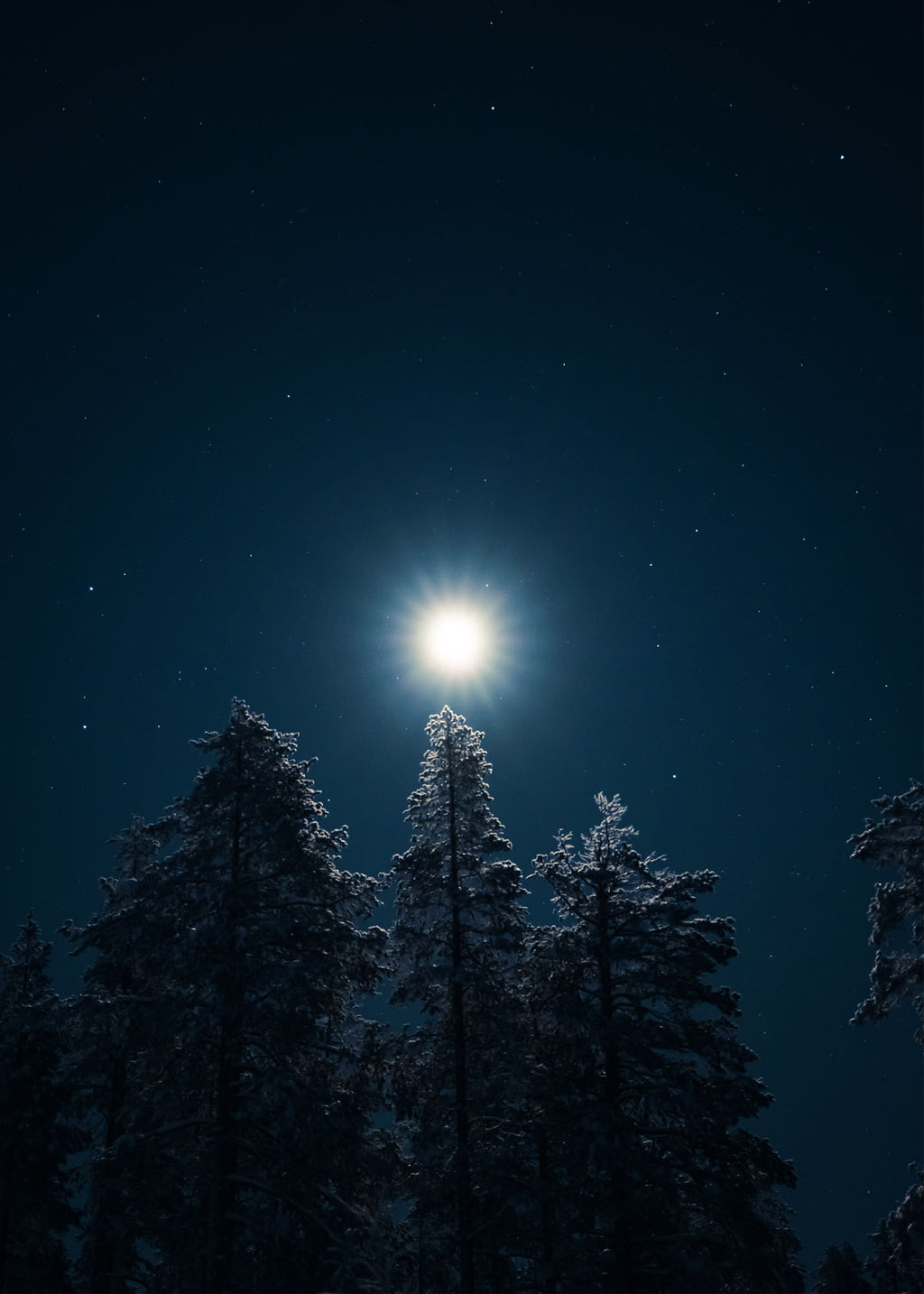 Moonbeam