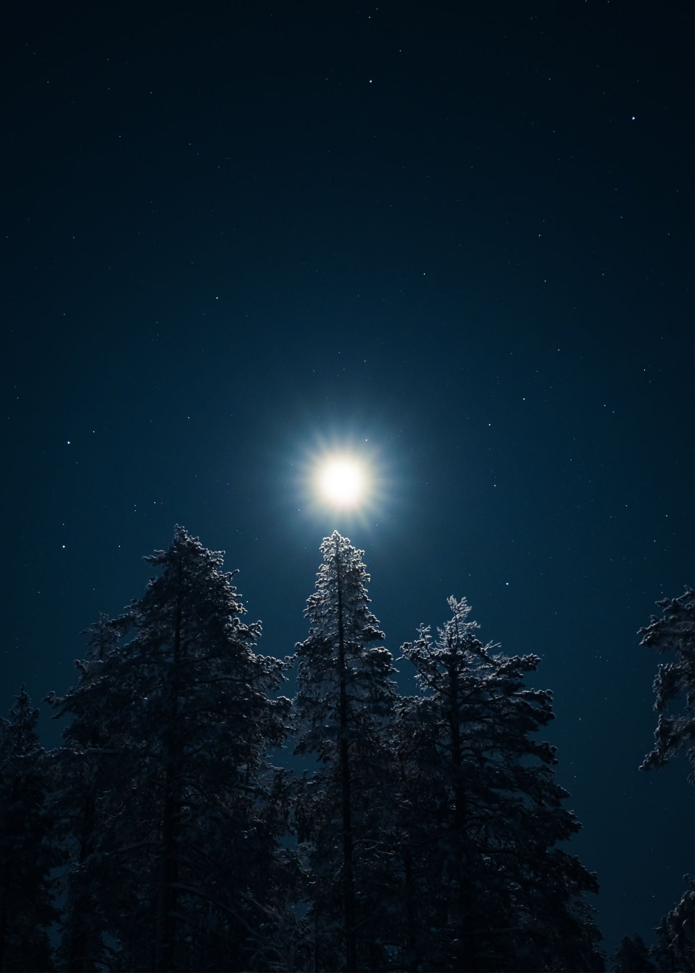 Moonbeam