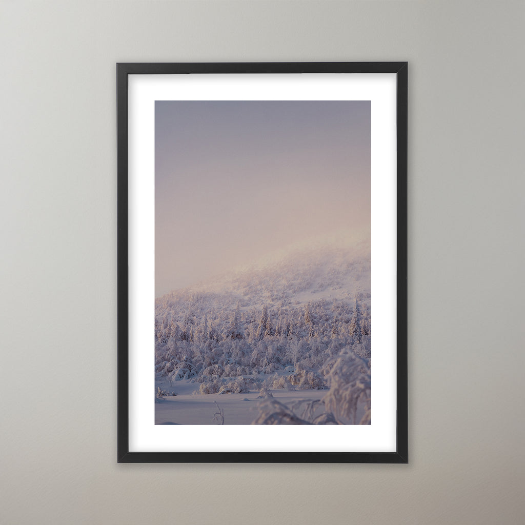 Lilaskimrande dimma över Nipfjällets trädtoppar. Poster i olika storlekar: 30x40 cm, 40x50 cm, 50x70-cm, 70x100 cm.