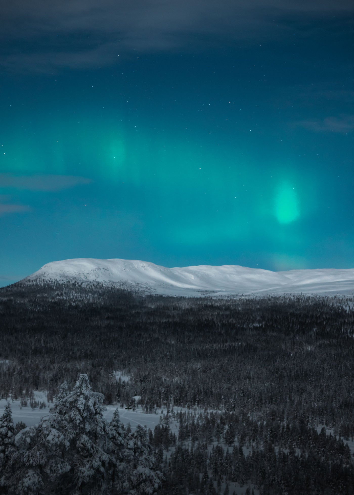 Mountain Aurora - Nipfjället