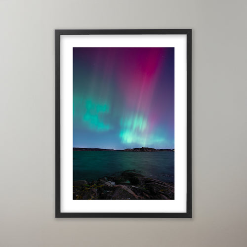 Färgglatt norrsken över havet på Västkusten. Poster i olika storlekar: 30x40 cm, 40x50 cm, 50x70-cm, 70x100 cm.