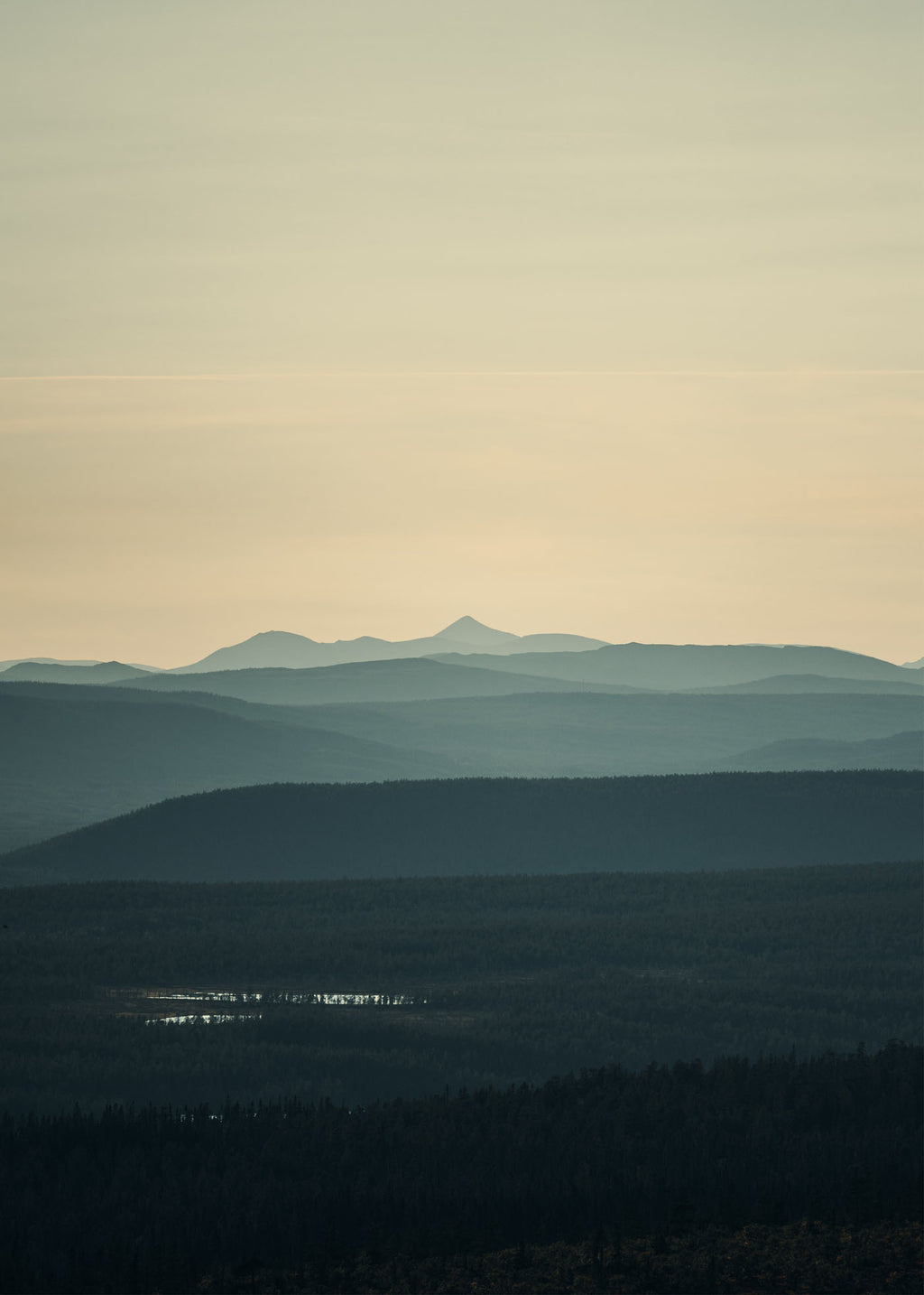 Norwegian Blue Layers - Idre