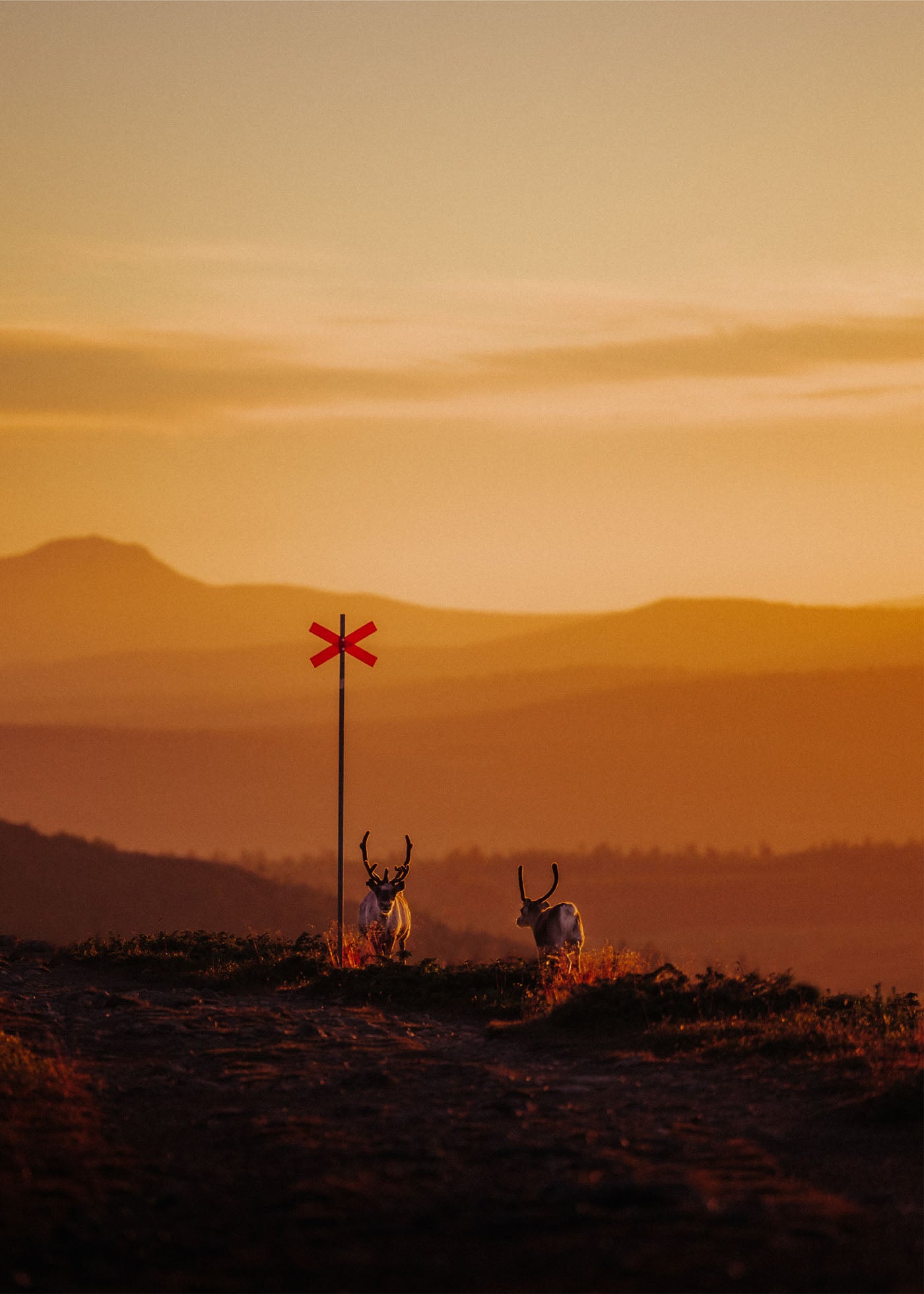 Sunrise Duo - Nipfjället