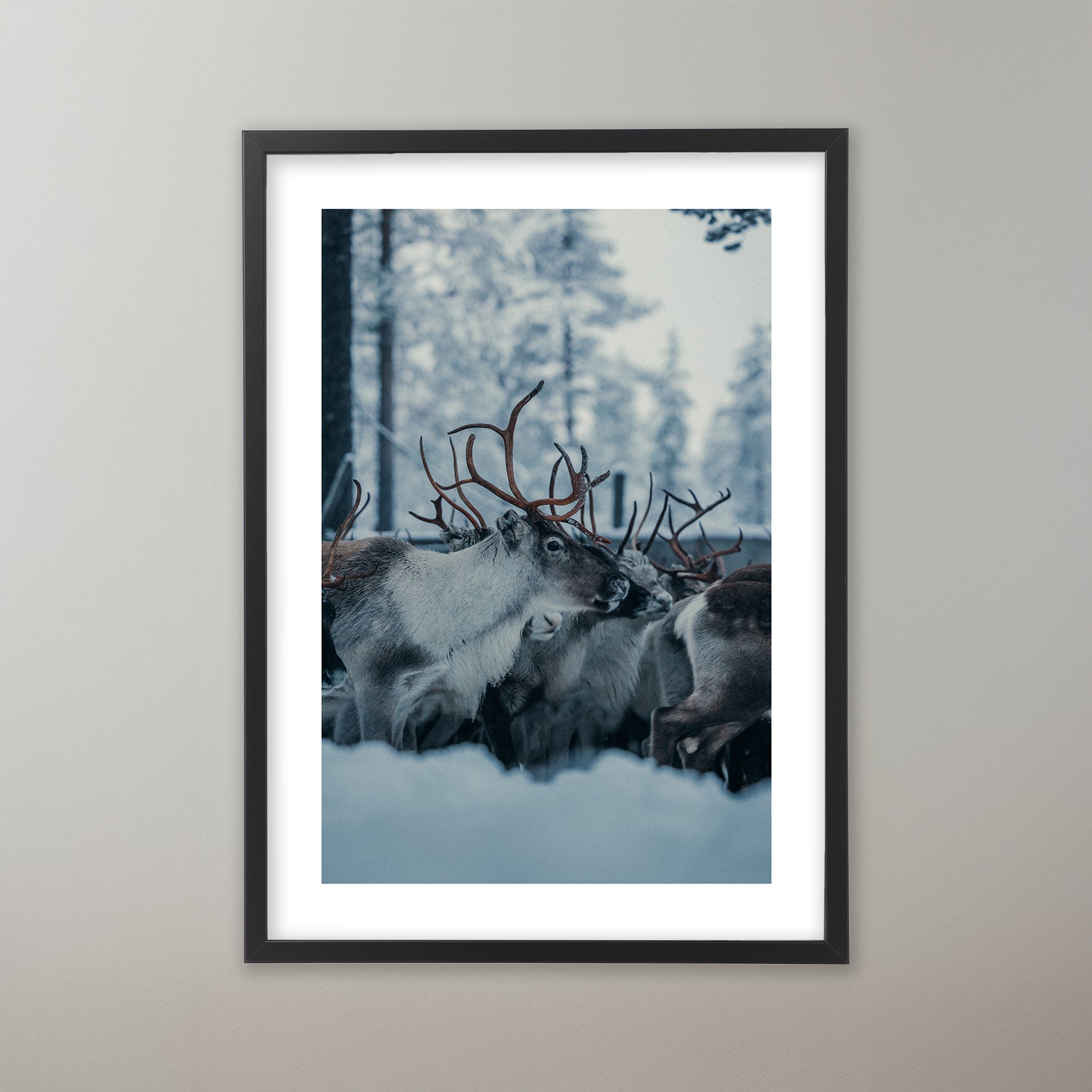 Renskildring Idre. Poster i olika storlekar: 30x40 cm, 40x50 cm, 50x70-cm, 70x100 cm.