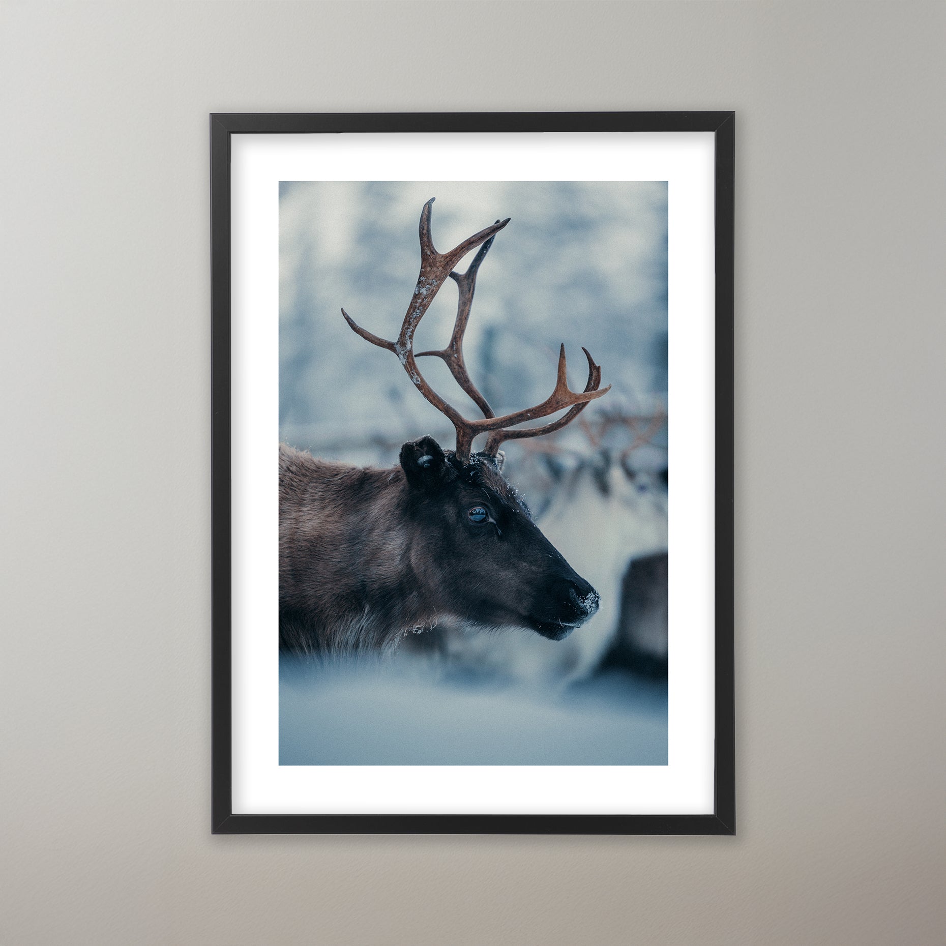 Renskildring Idre. Poster i olika storlekar: 30x40 cm, 40x50 cm, 50x70-cm, 70x100 cm.