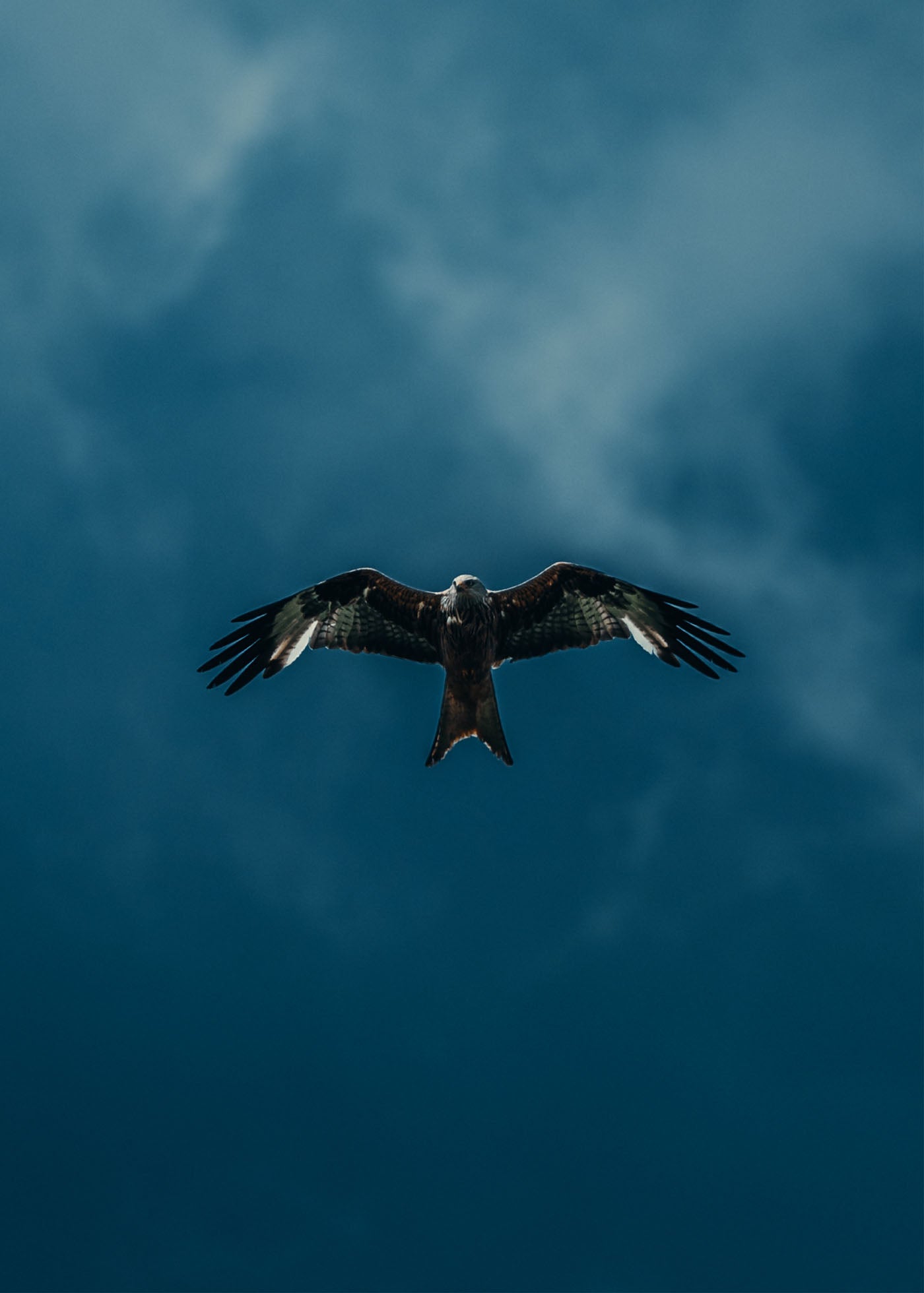 Wind Rider - Västkusten