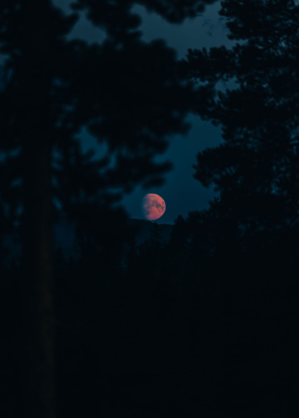 Red Moon Rising - Idre