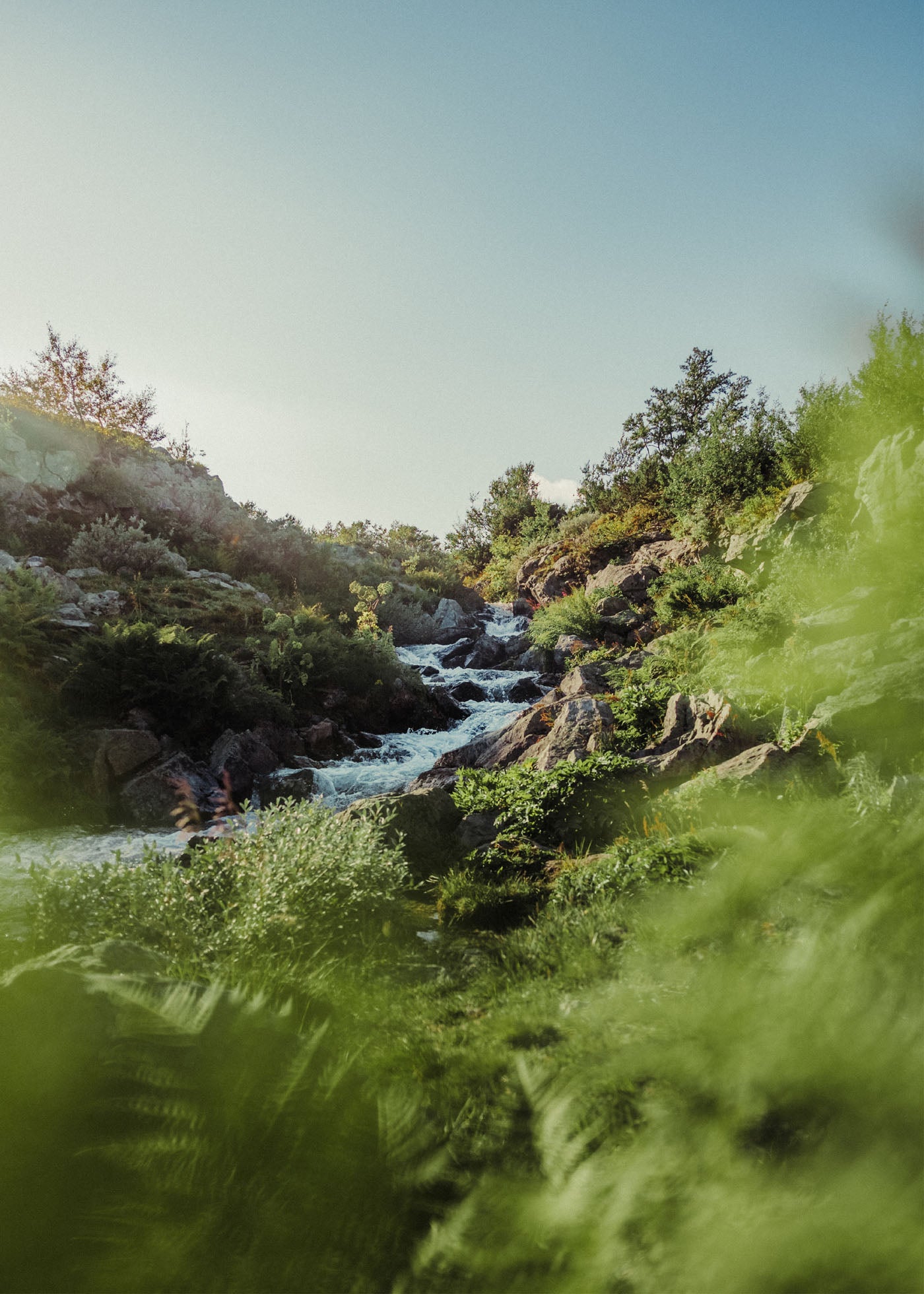 Emerald Waters - Silverfallet