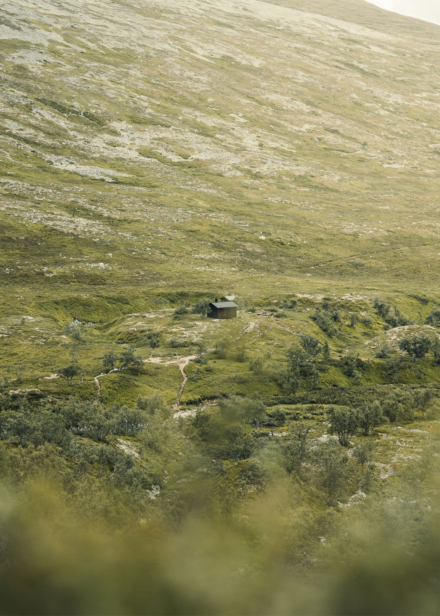 Highland Haven - Sonfjället