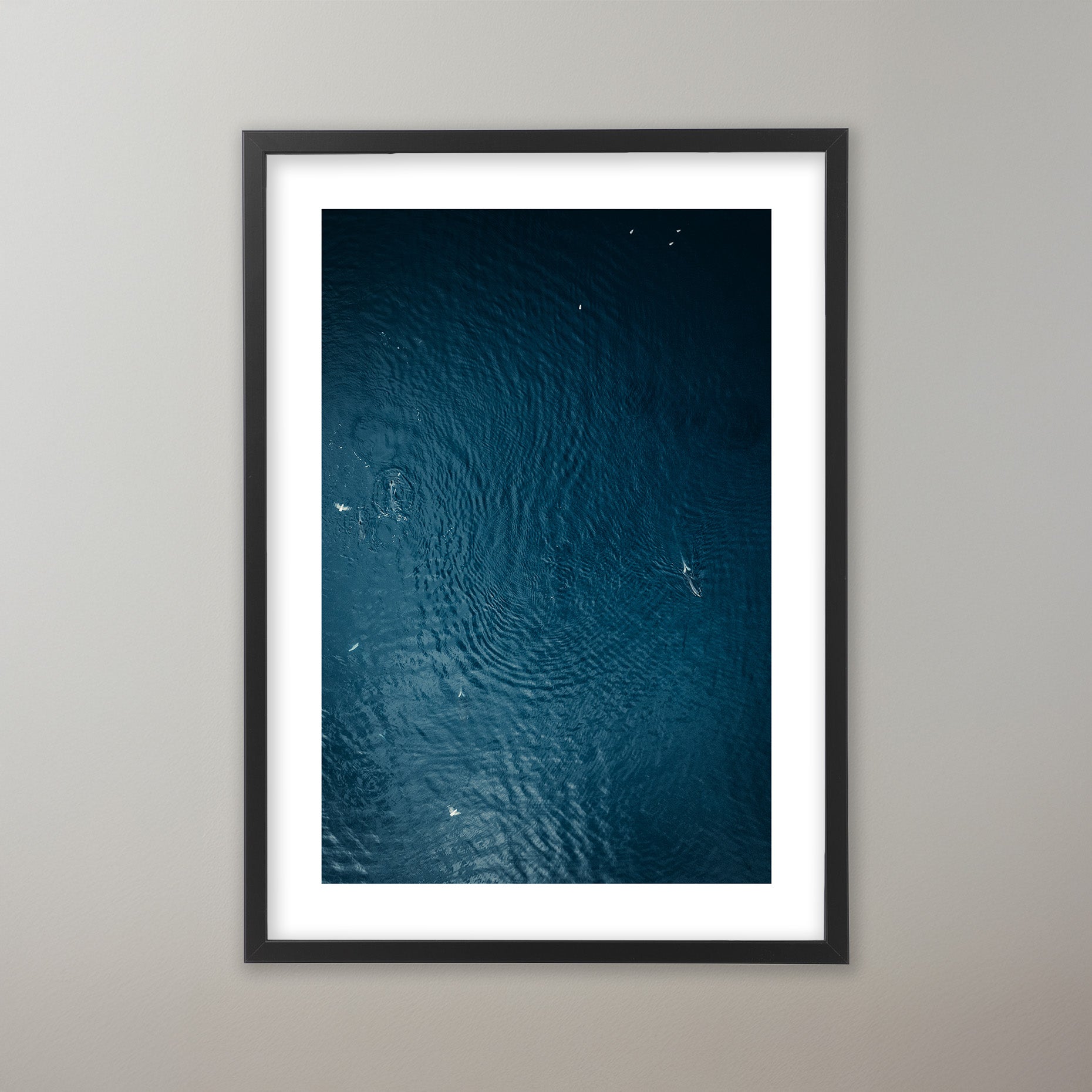 Oceans Force - Lofoten