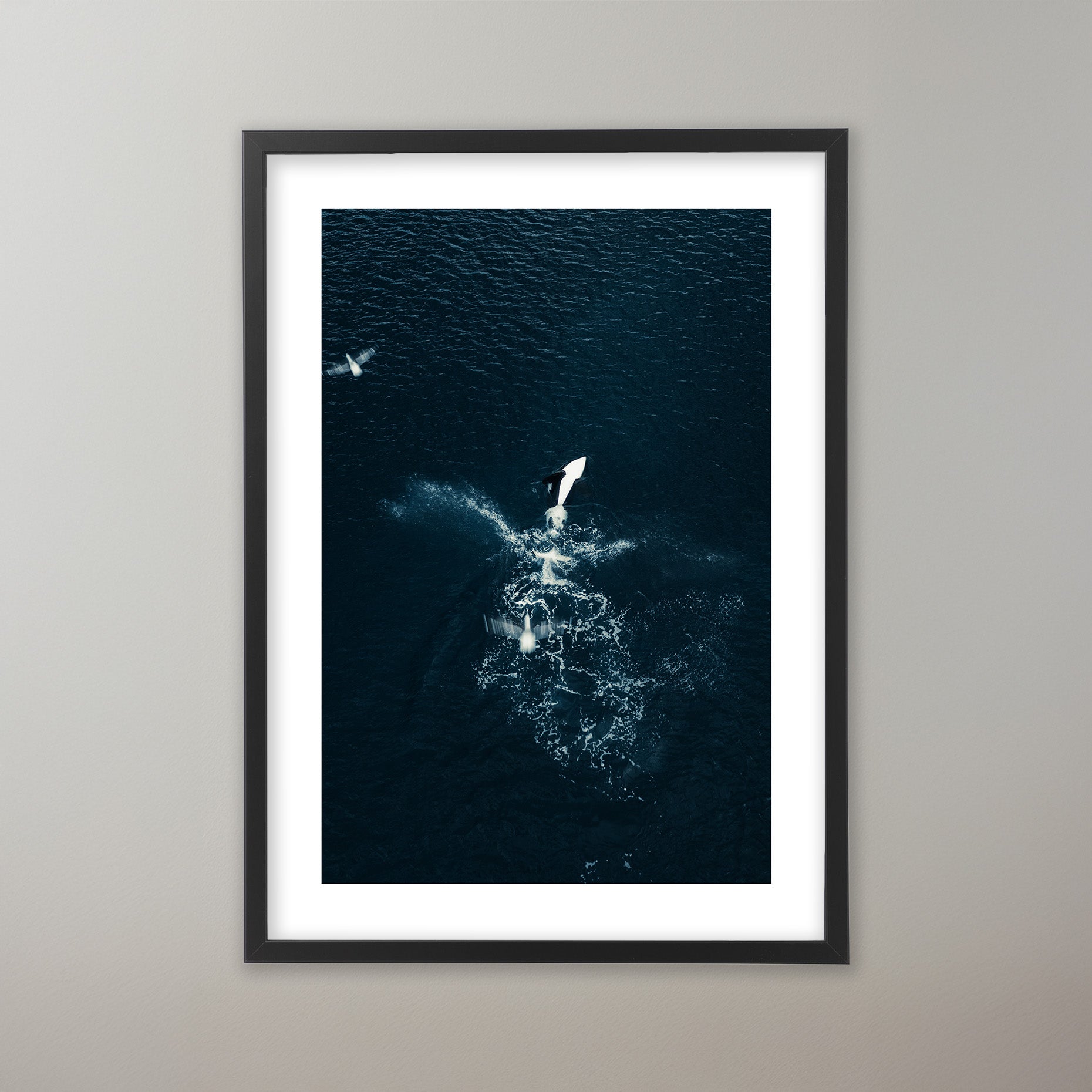 Deep Blue Dynasty - Lofoten