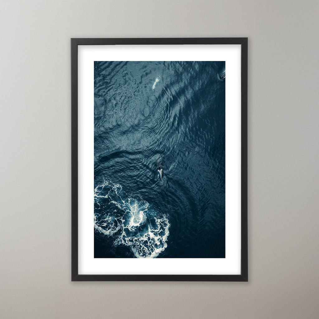 Ocean Giant - Lofoten