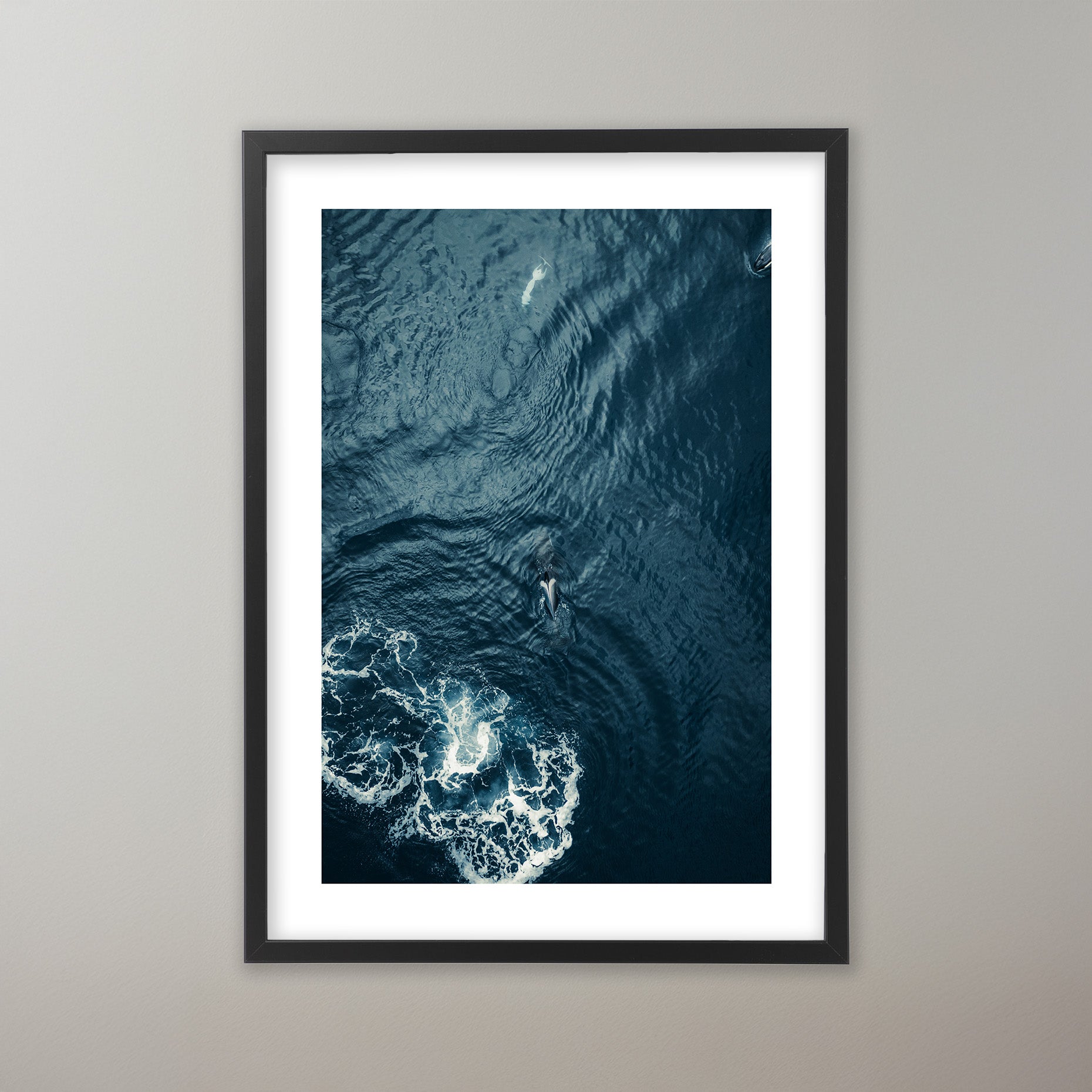 Ocean Giant - Lofoten