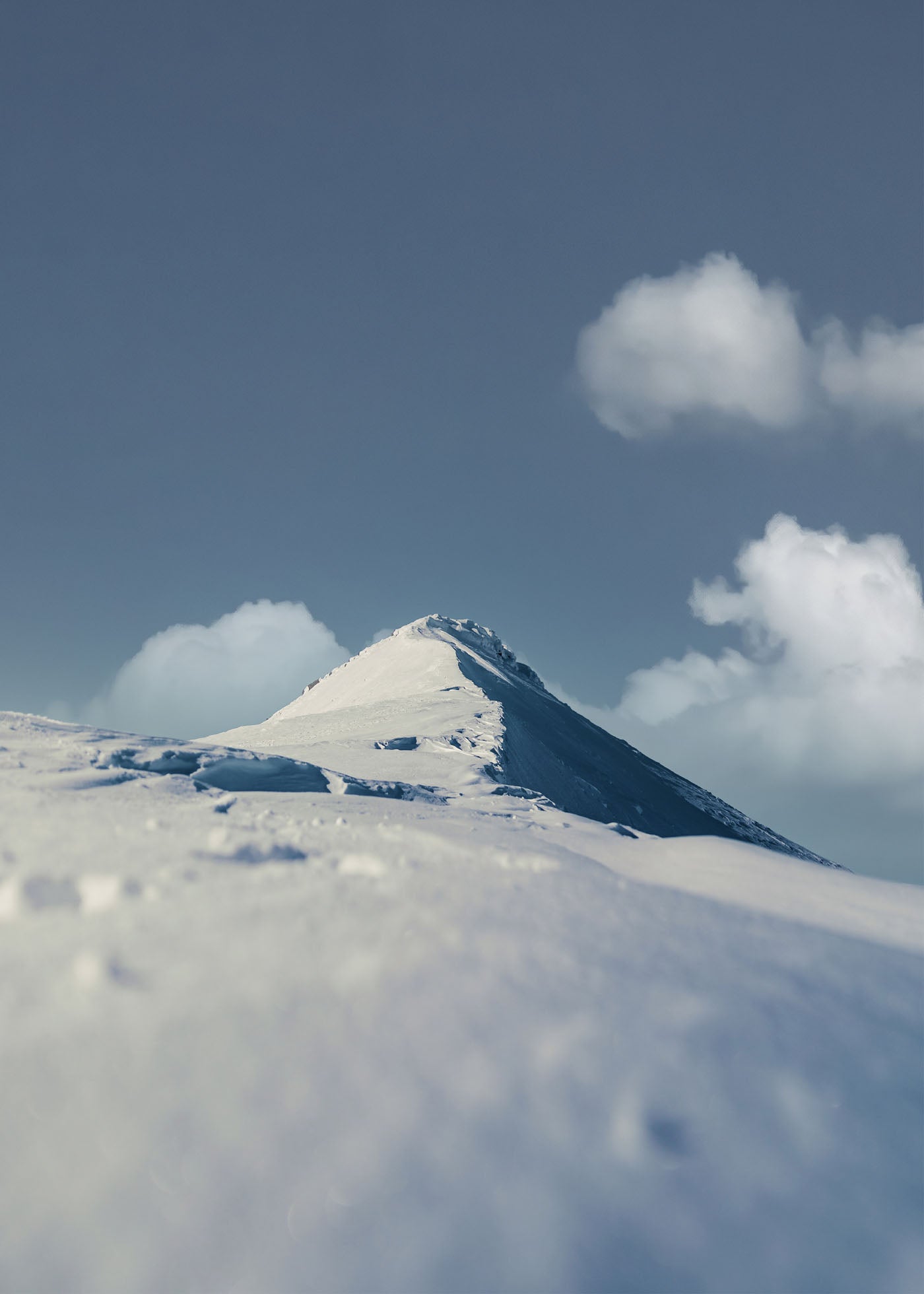 Snow Cap - Städjan