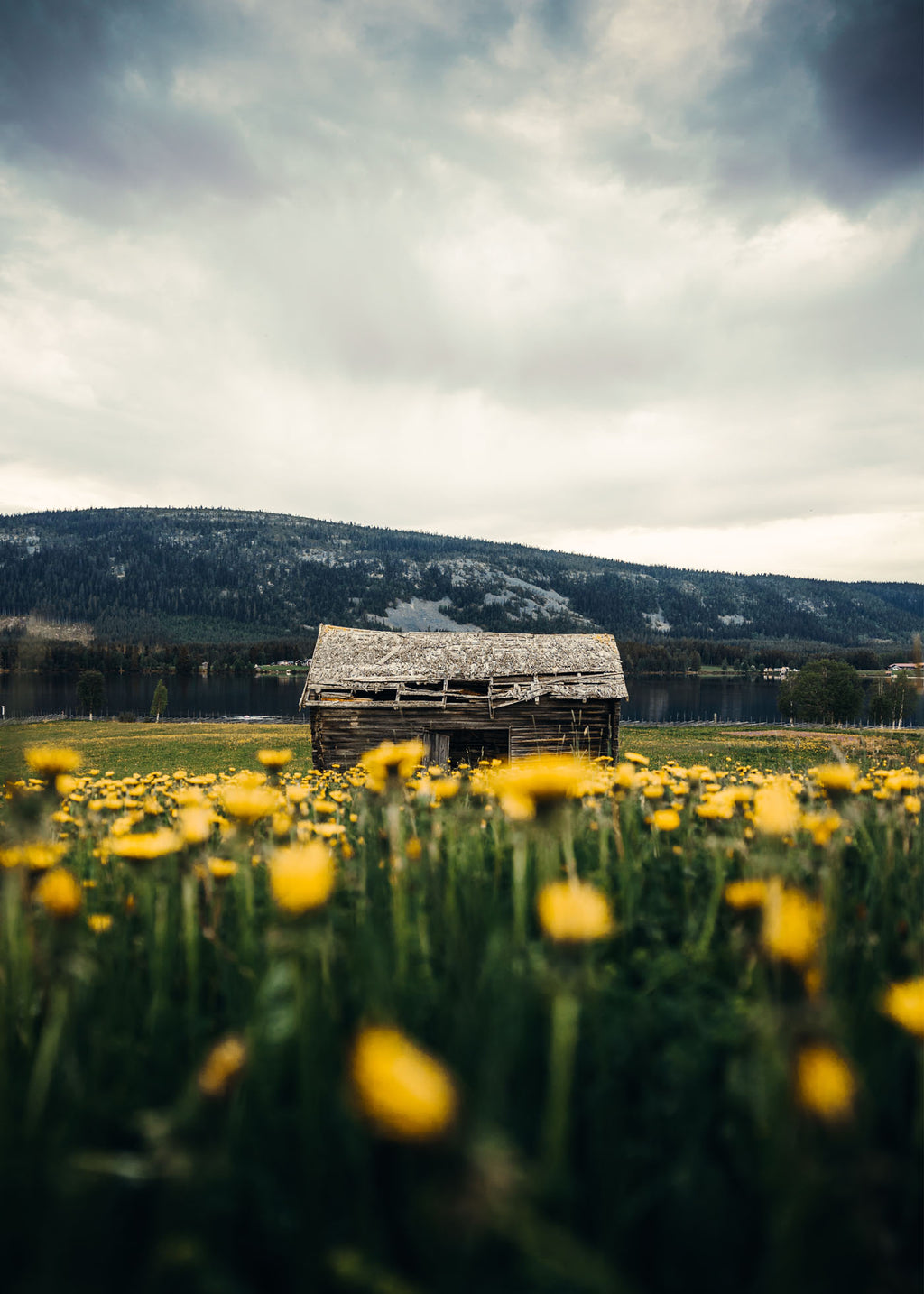 Meadow Barn - Klövsjö