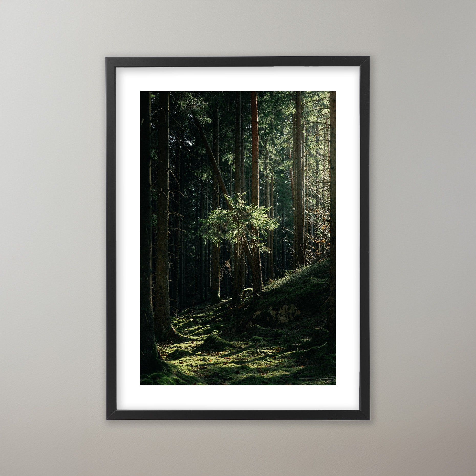 Deep Woods - Bohusleden