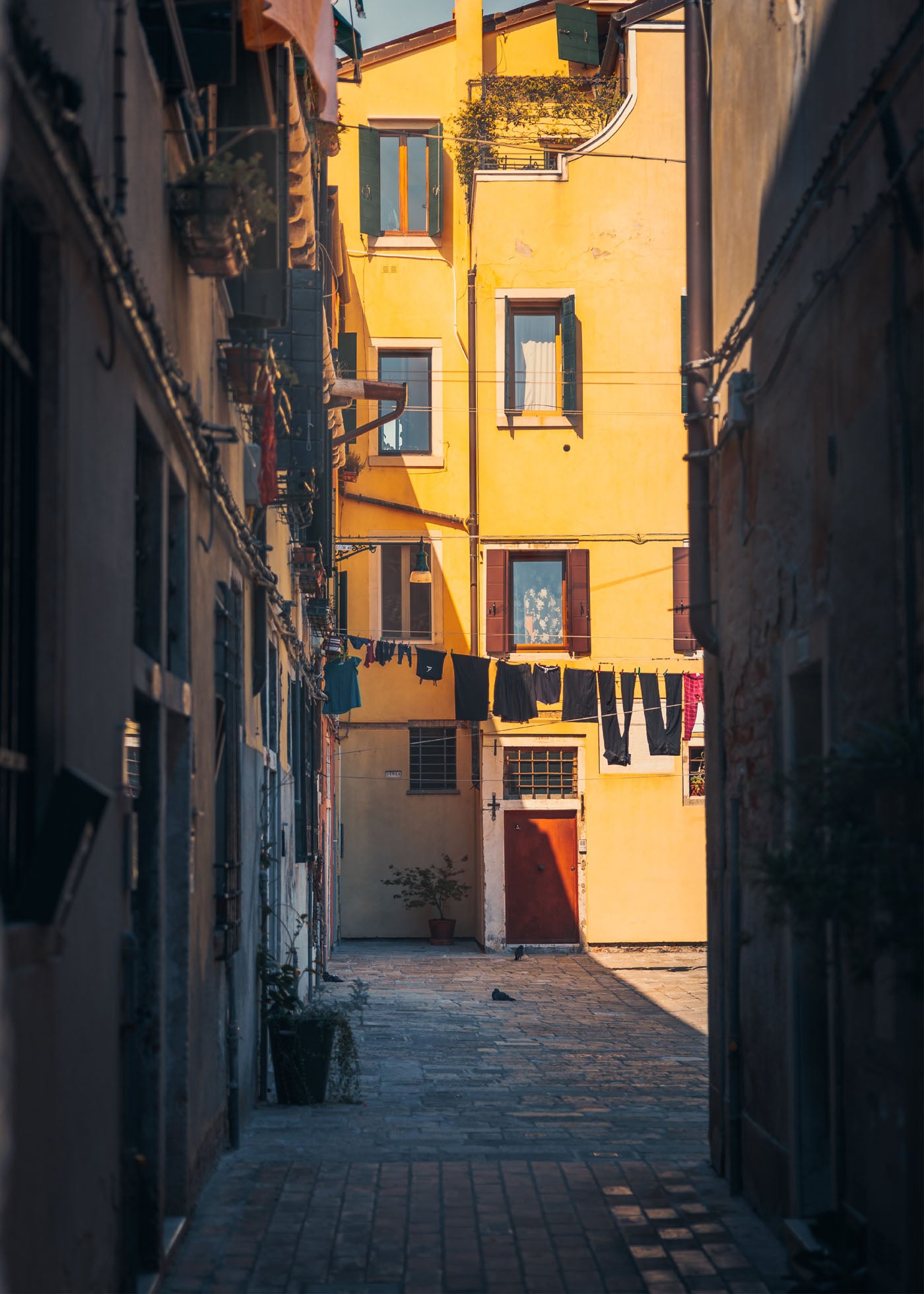 Pittoresk gränd i Venedig med färgglada byggnader och tvättlinor mellan husen. Poster i olika storlekar: 30x40 cm, 40x50 cm, 50x70-cm, 70x100 cm.