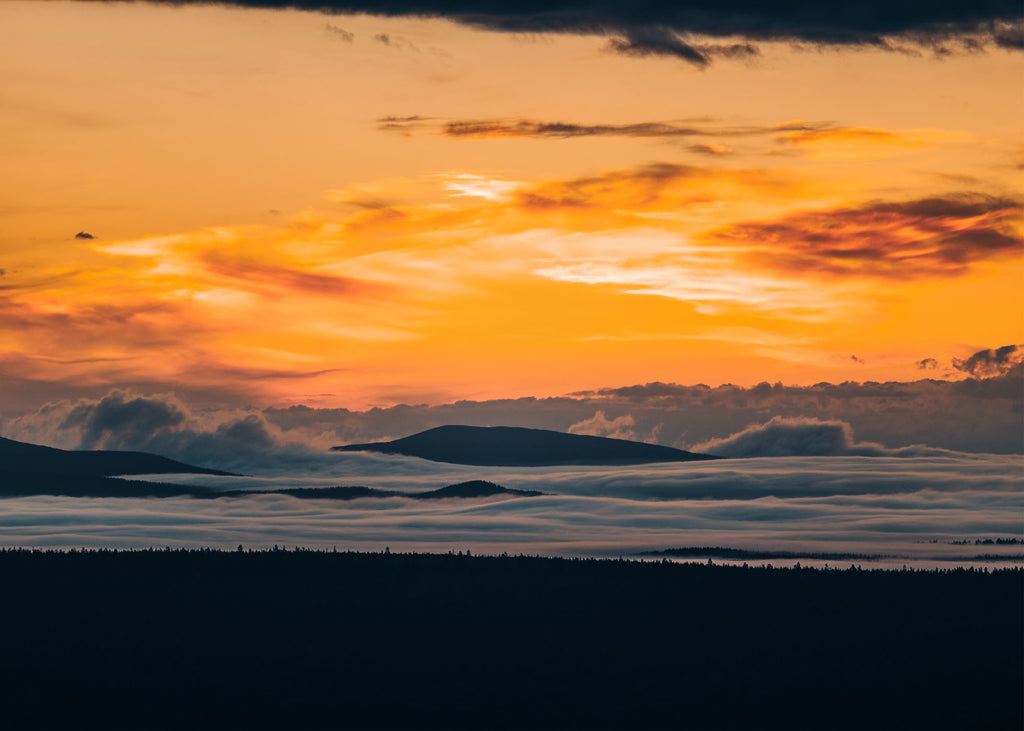 Morning Glory - Fjätervålen