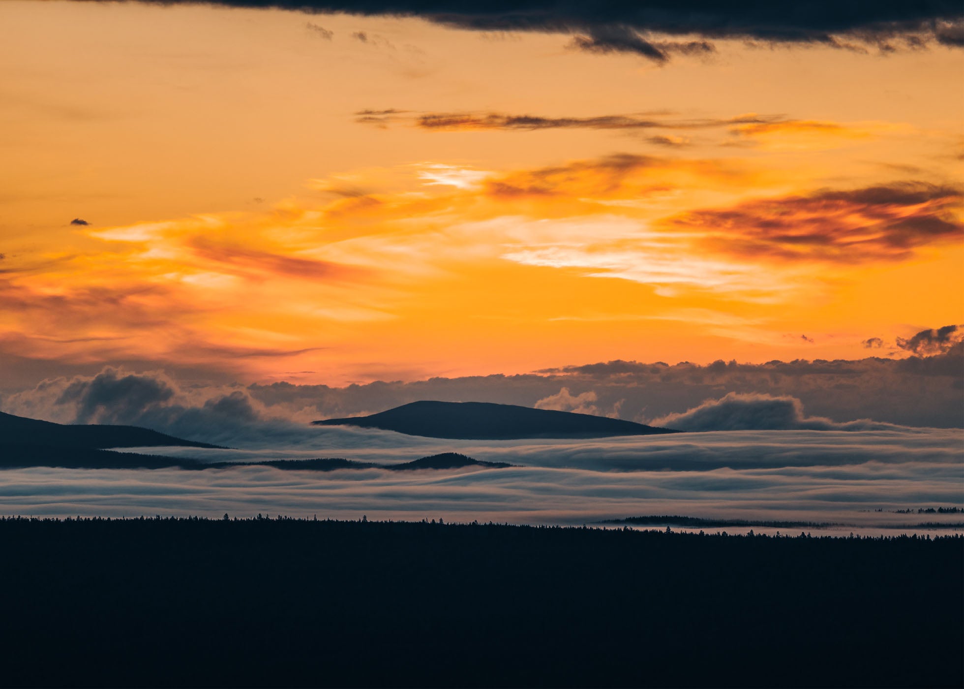 Morning Glory - Fjätervålen
