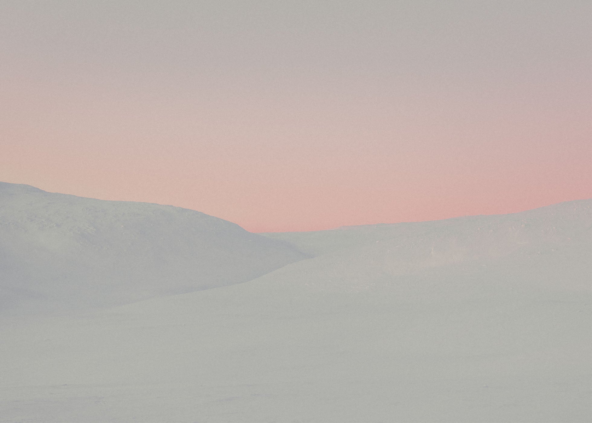 Blush Hour - Nipfjället
