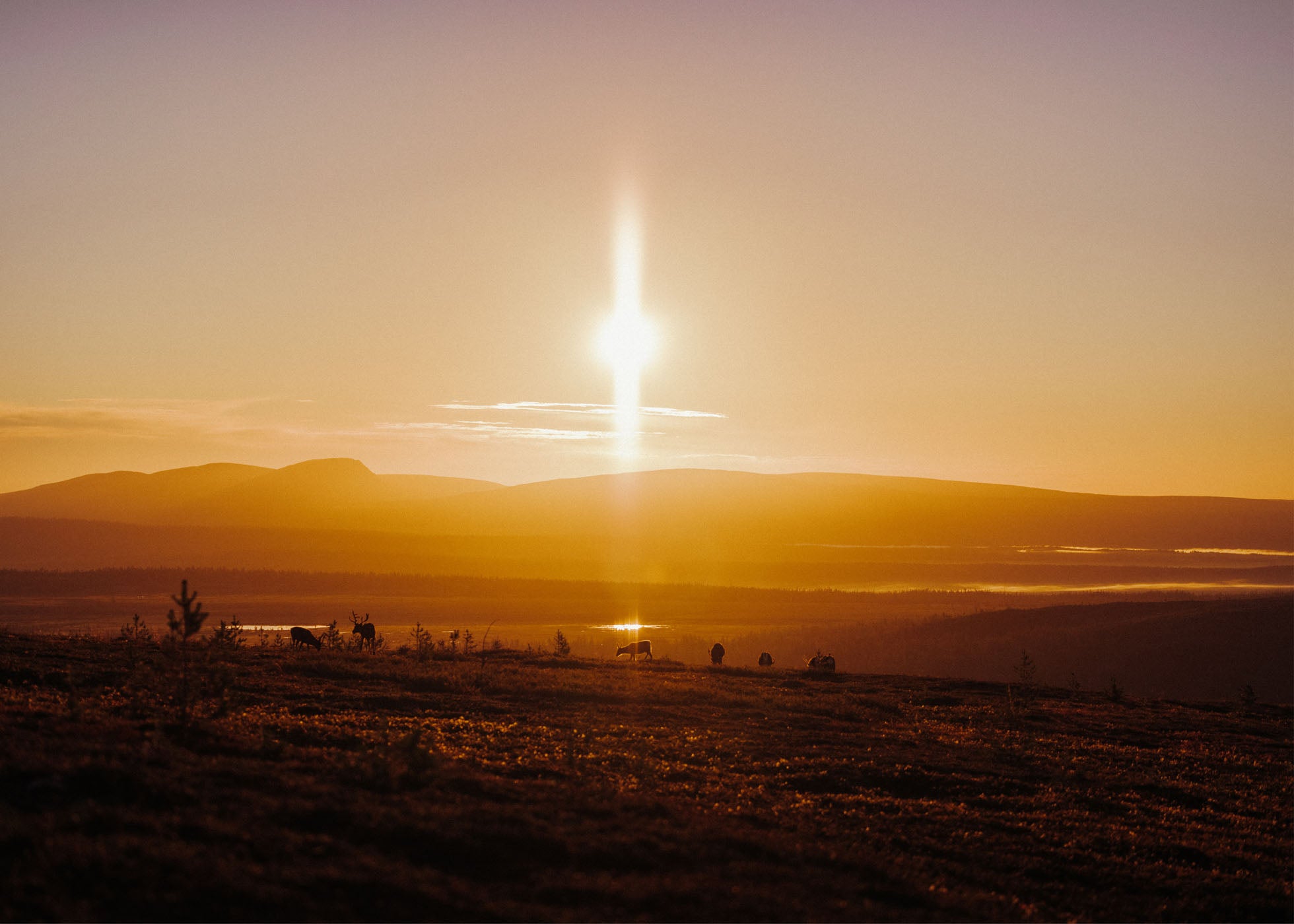 Sunrise Silhouettes - Nipfjället
