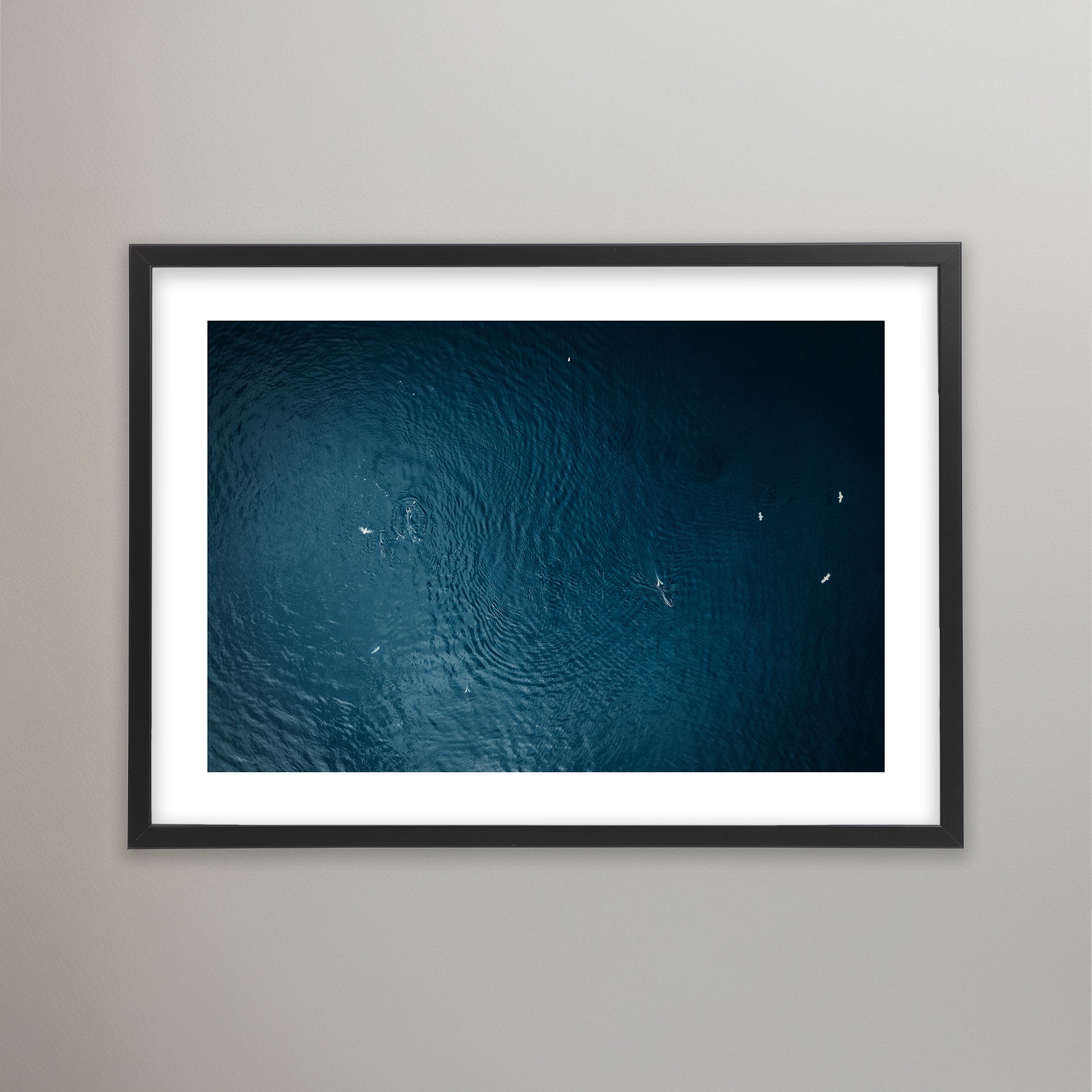 Oceans Force - Lofoten