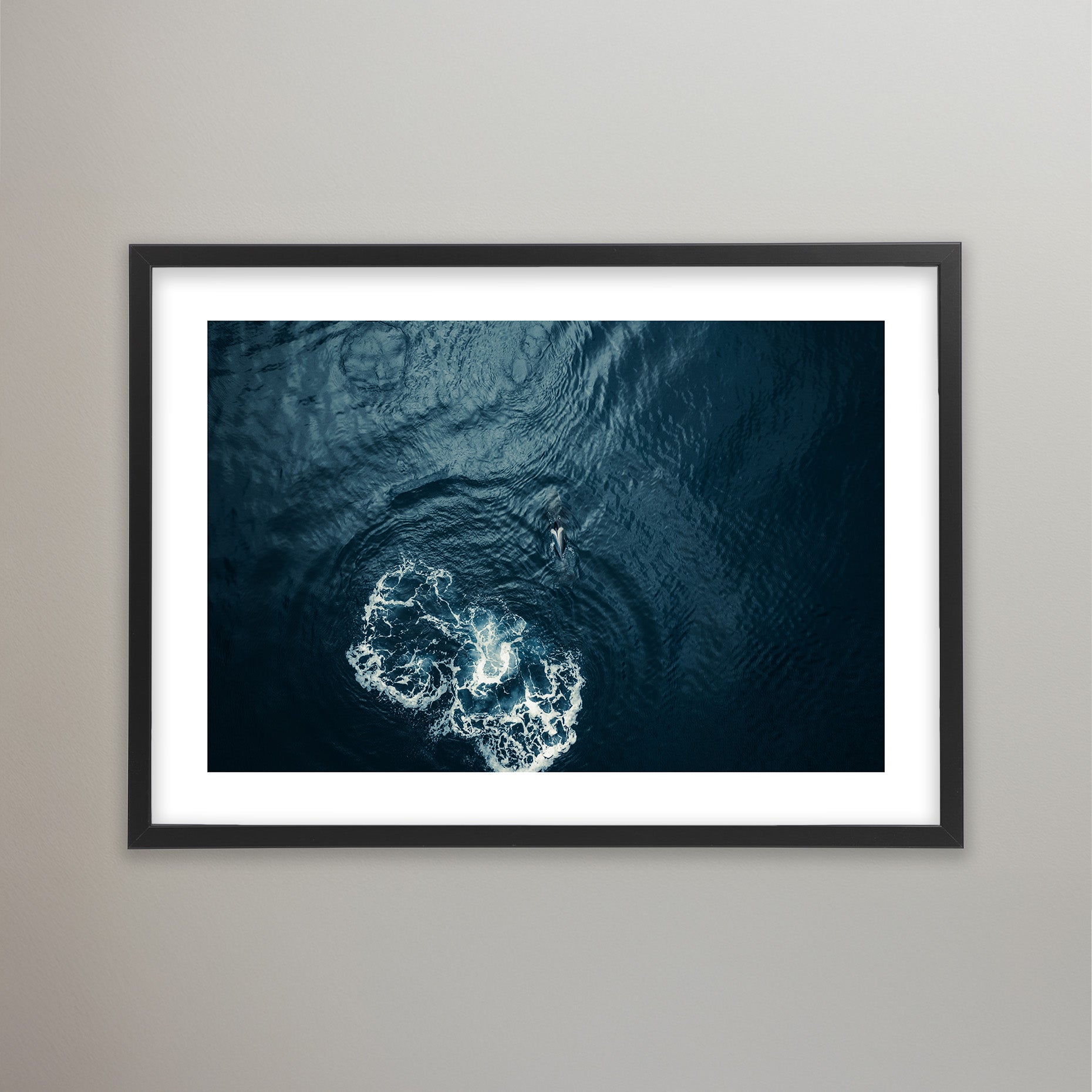 Ocean Giant - Lofoten